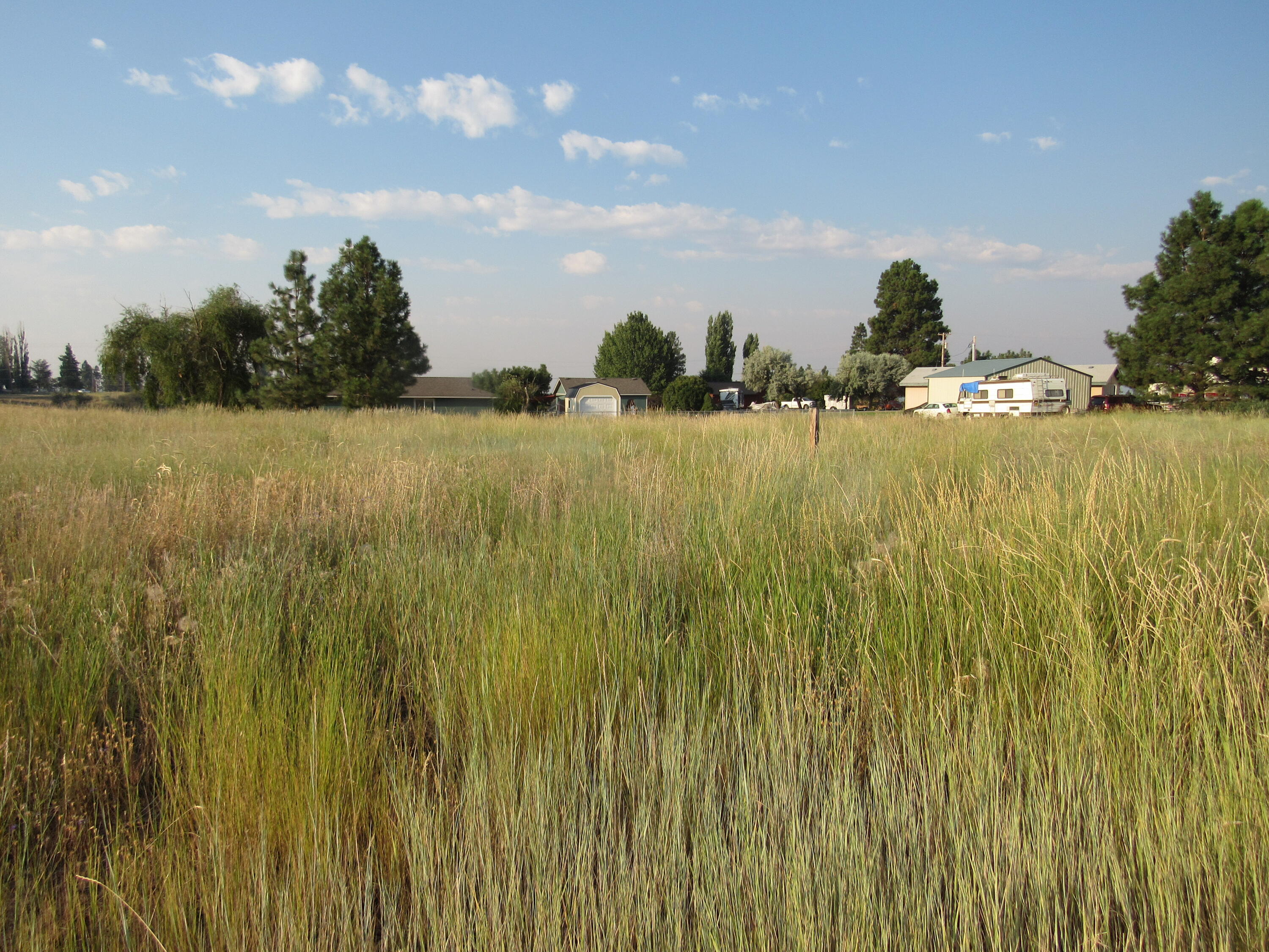 Oregon Shores -Unit 2 - Land