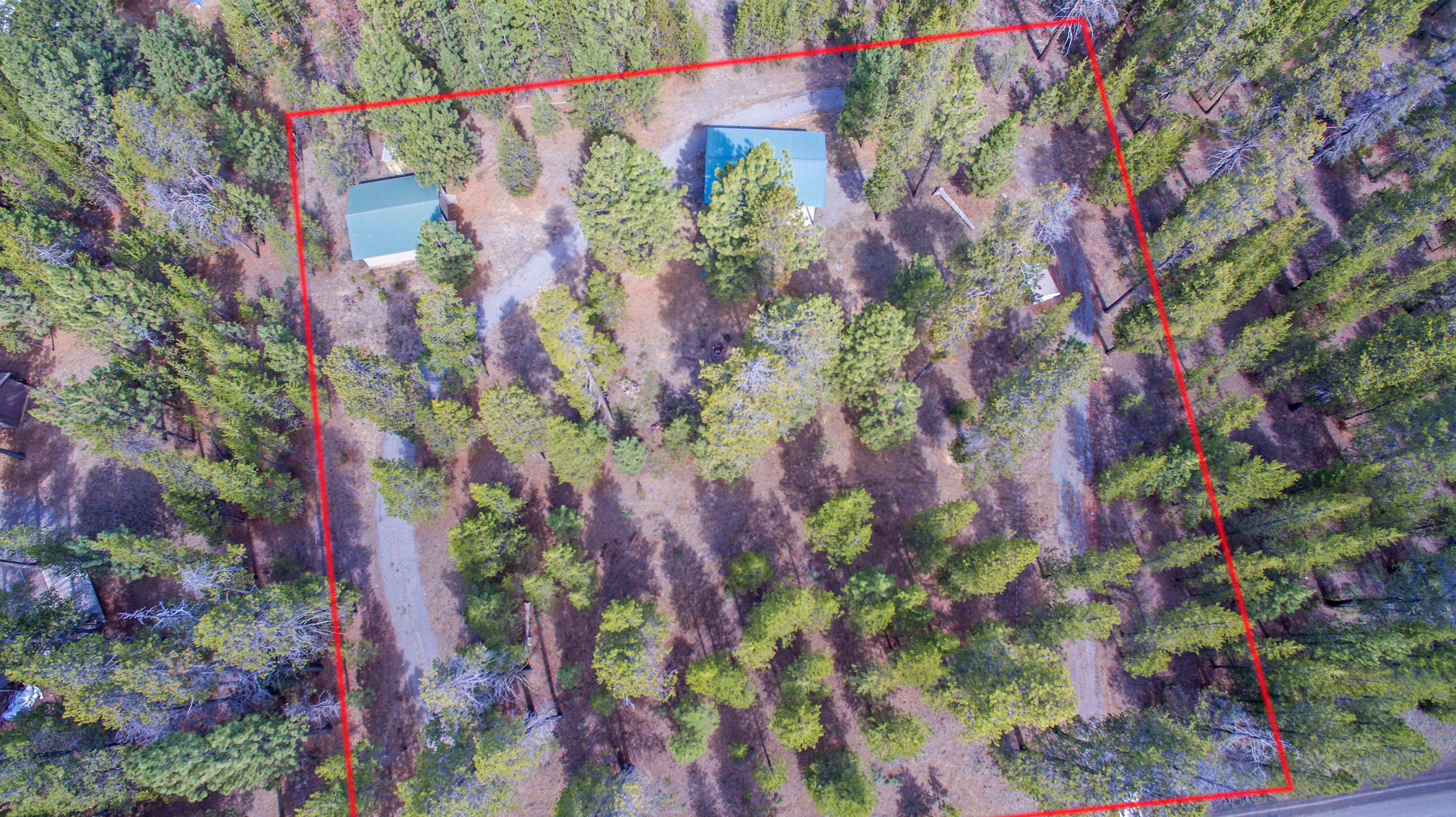 Forest View - Land