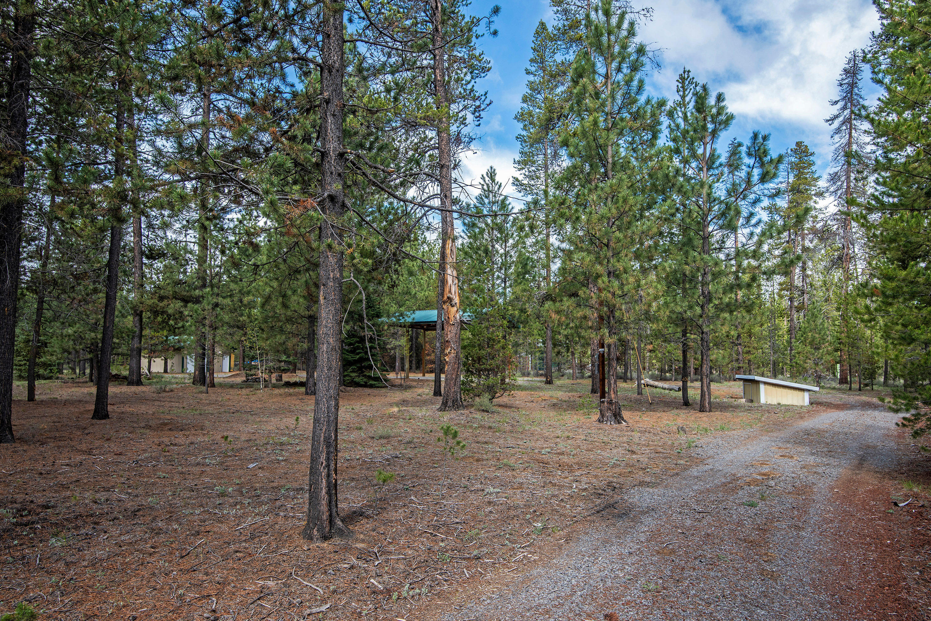 Forest View - Land