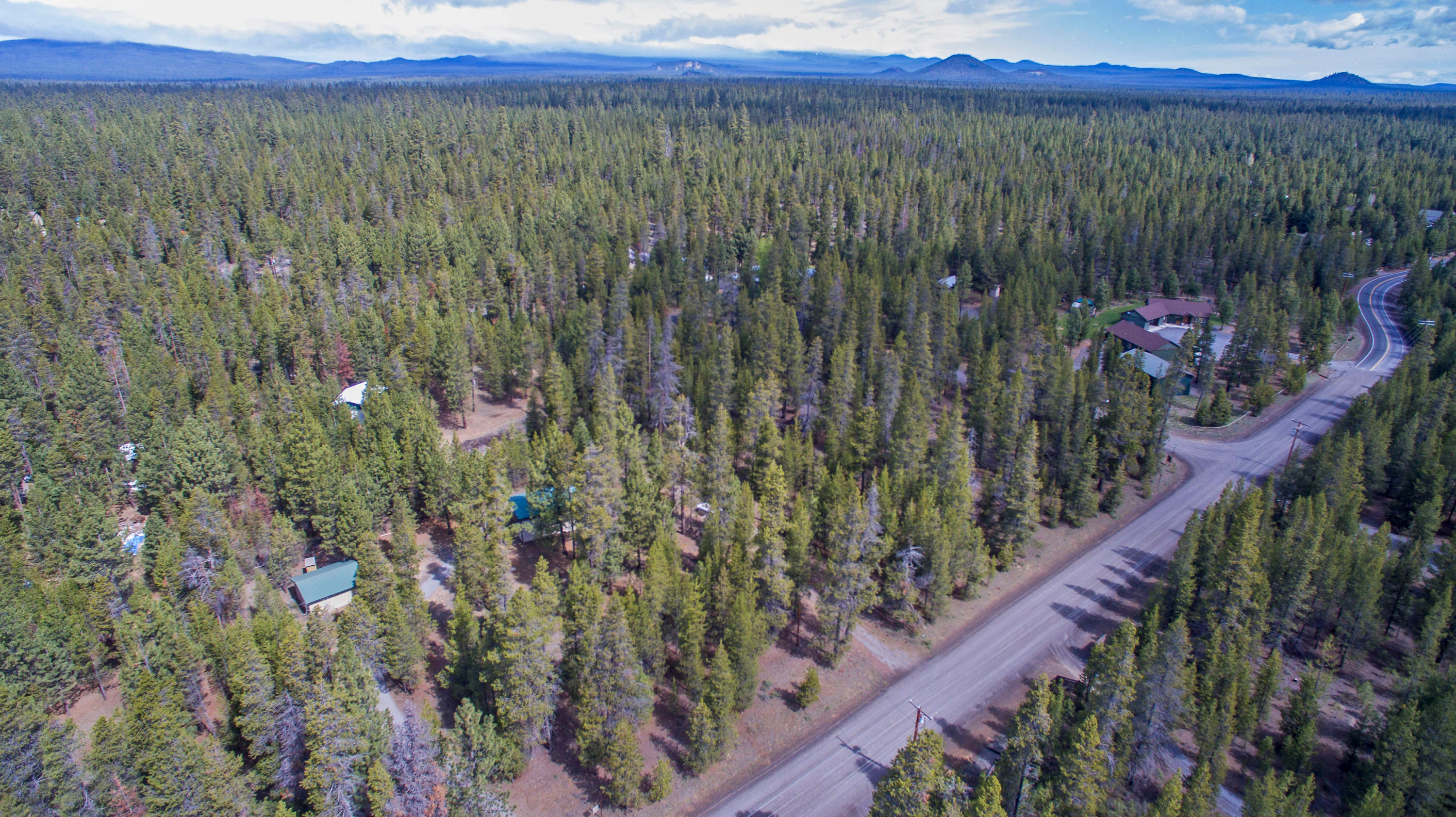 Forest View - Land