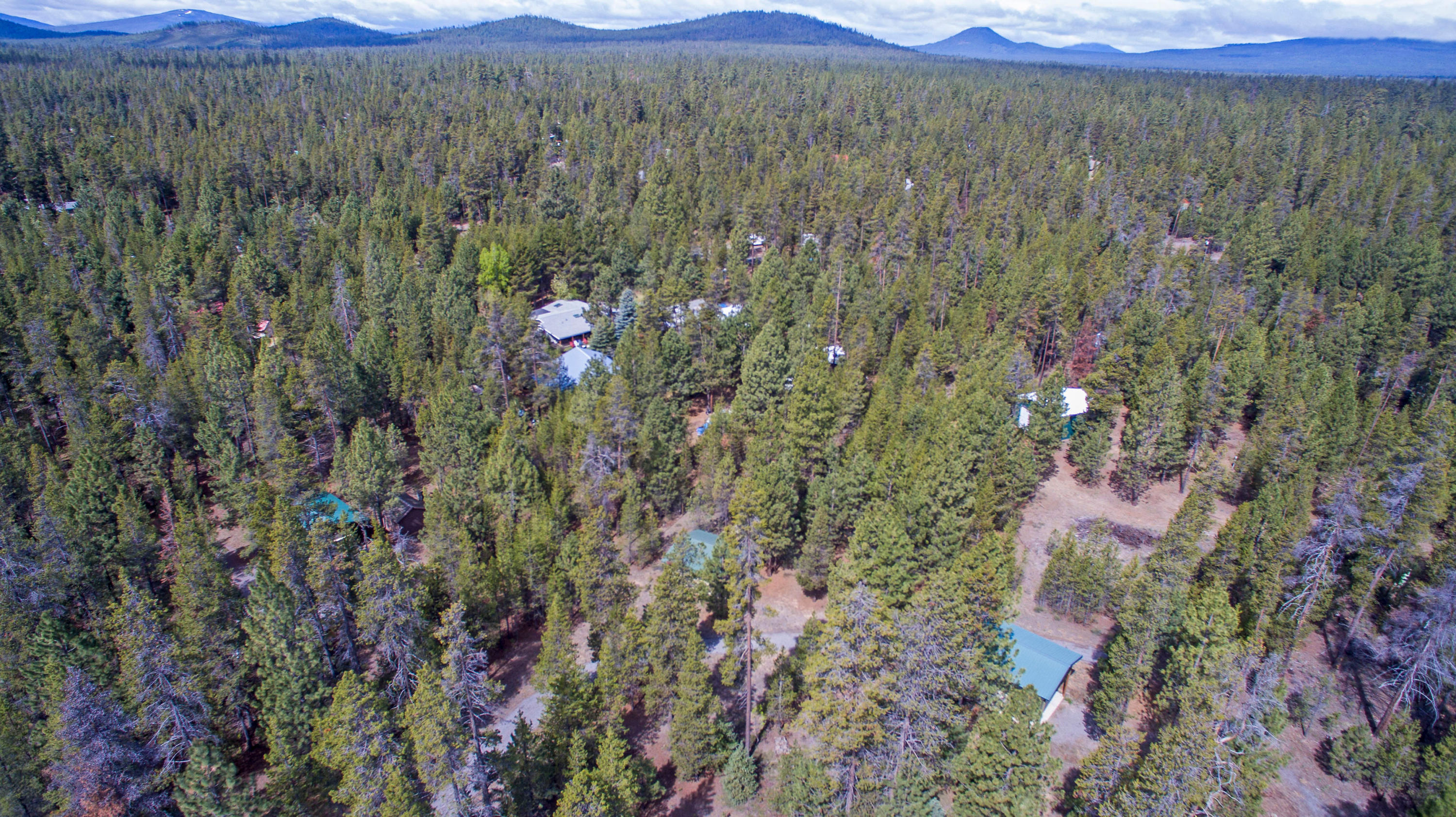 Forest View - Land