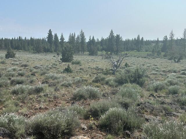 Oregon Pines - Land