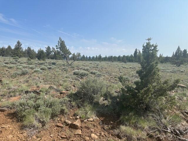 Oregon Pines - Land