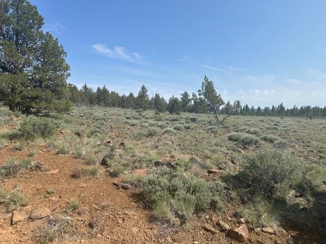 Oregon Pines - Land