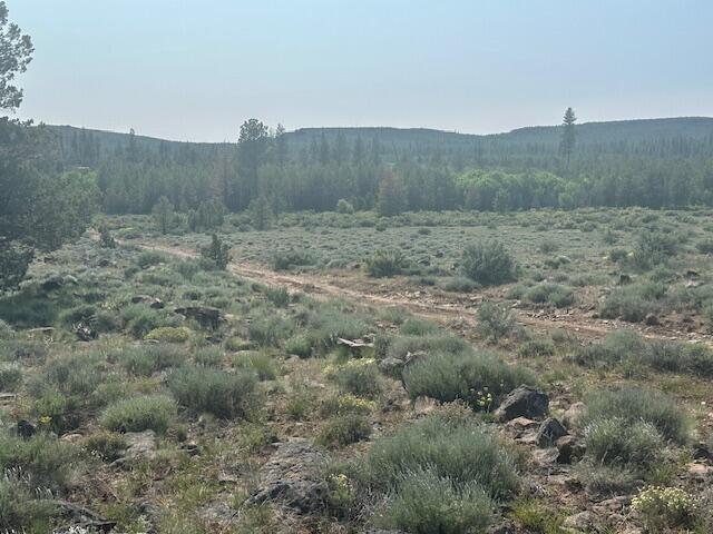 Oregon Pines - Land