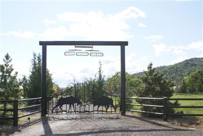 Twin Pines Ranch! 2 Custom Blt Lodge style Homes blue pine wood and Real plaster walls, Central Vacuum. Both homes have Full Garages, 1 Studio Apt. 321 Acres Aprox 68 Irr. Free water dated 1867 2 Horse barns 8 Stalls /w runs area for more stalls. 2 hay Barns feed barn.Large Covered arena 130 X 250 fully lighted currantly roping arena. Also machine shed Coolroom w/ meat cutting room. well 50+ Ga per min. . Main home has Inground Pool.Plus hottub off master.bed room. Large lawn with large gathering area for BBQs. Beautful raised bed gardens, waterfall and 2 RV Hookups. Backs to miles of BLM. Blacktail Deer, Elk,Bear & Turkeys live here. One Owner is Or. Lis. Broker