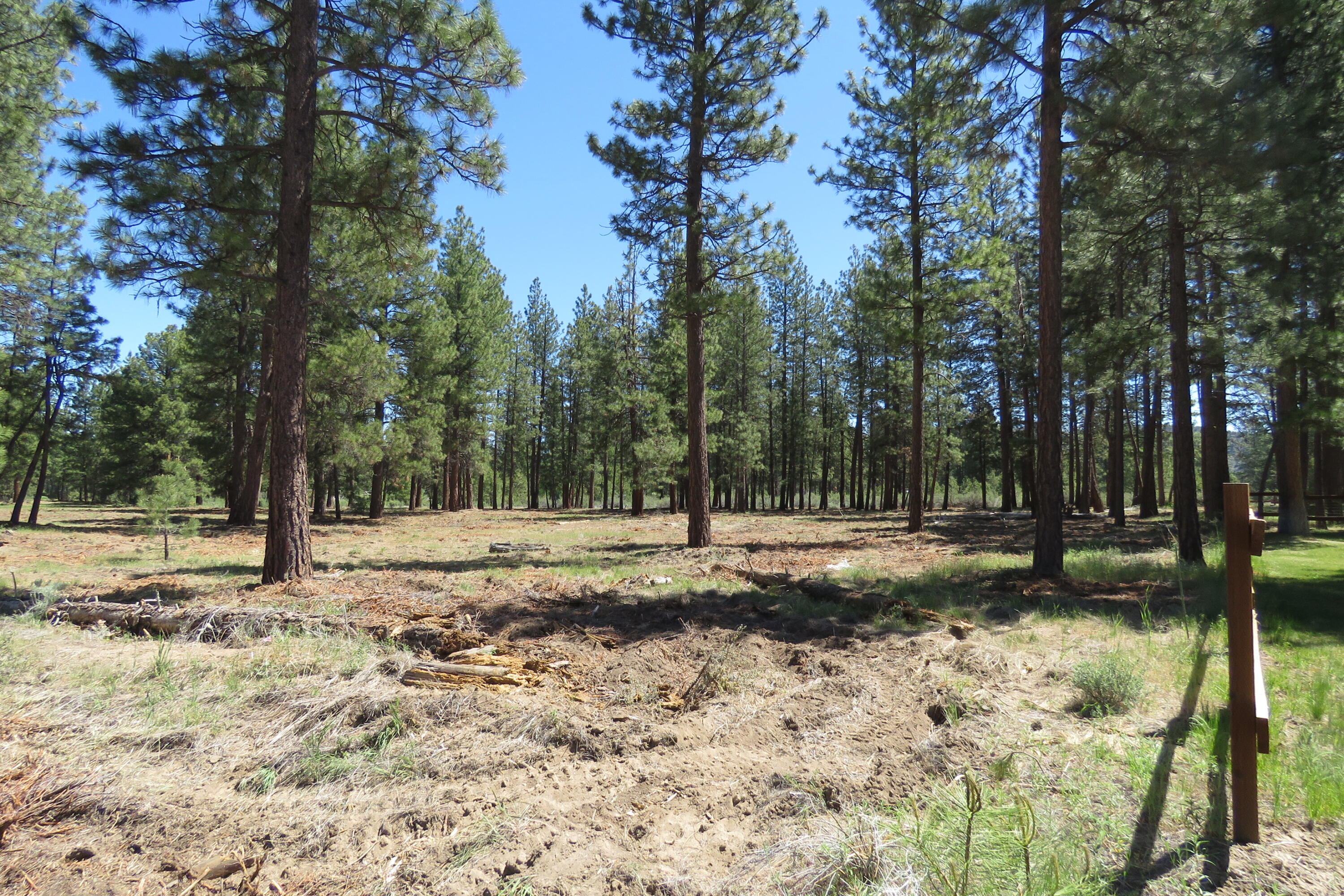 Pine Meadow Village -Phase 1 - Land
