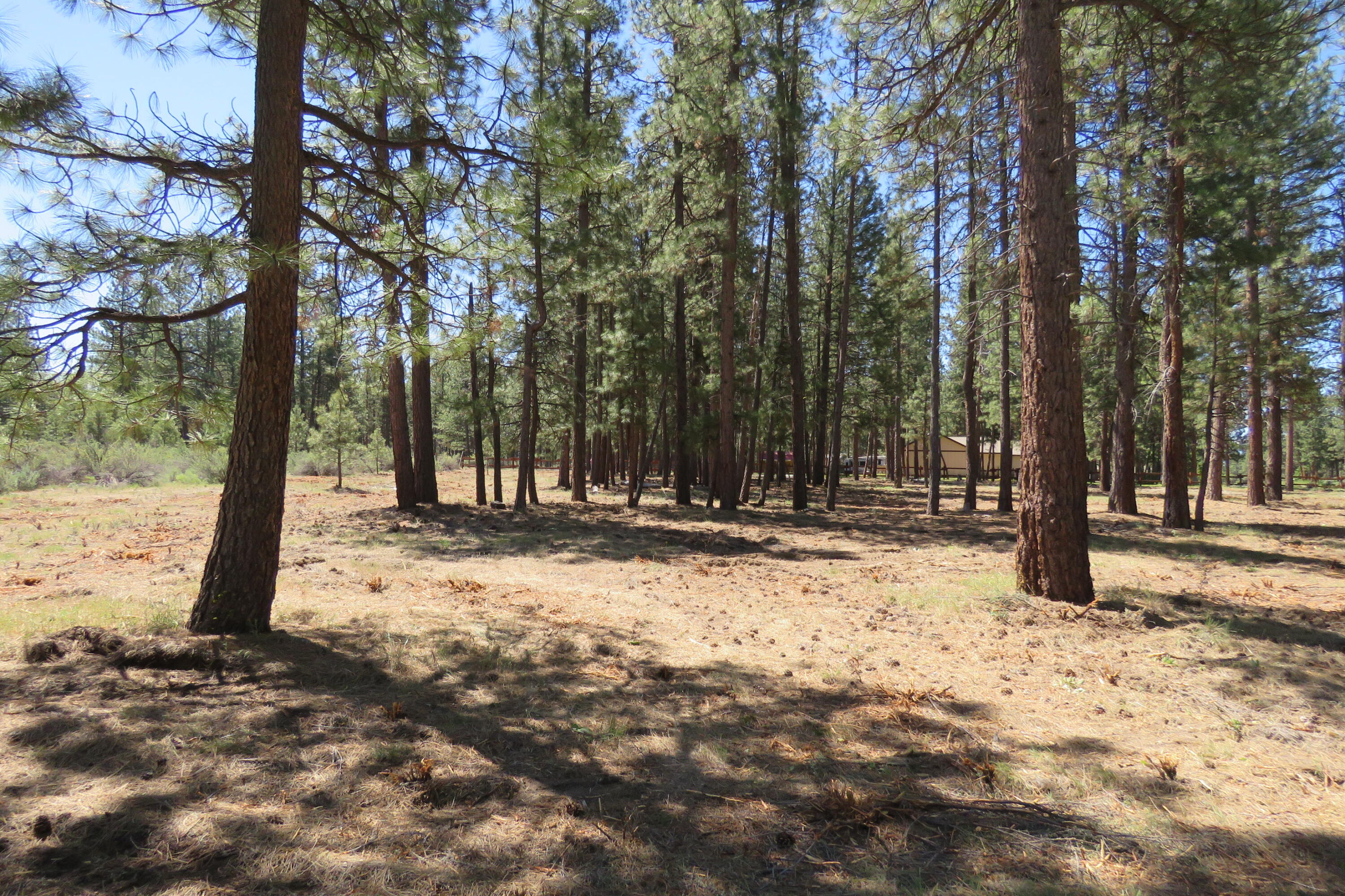 Pine Meadow Village -Phase 1 - Land