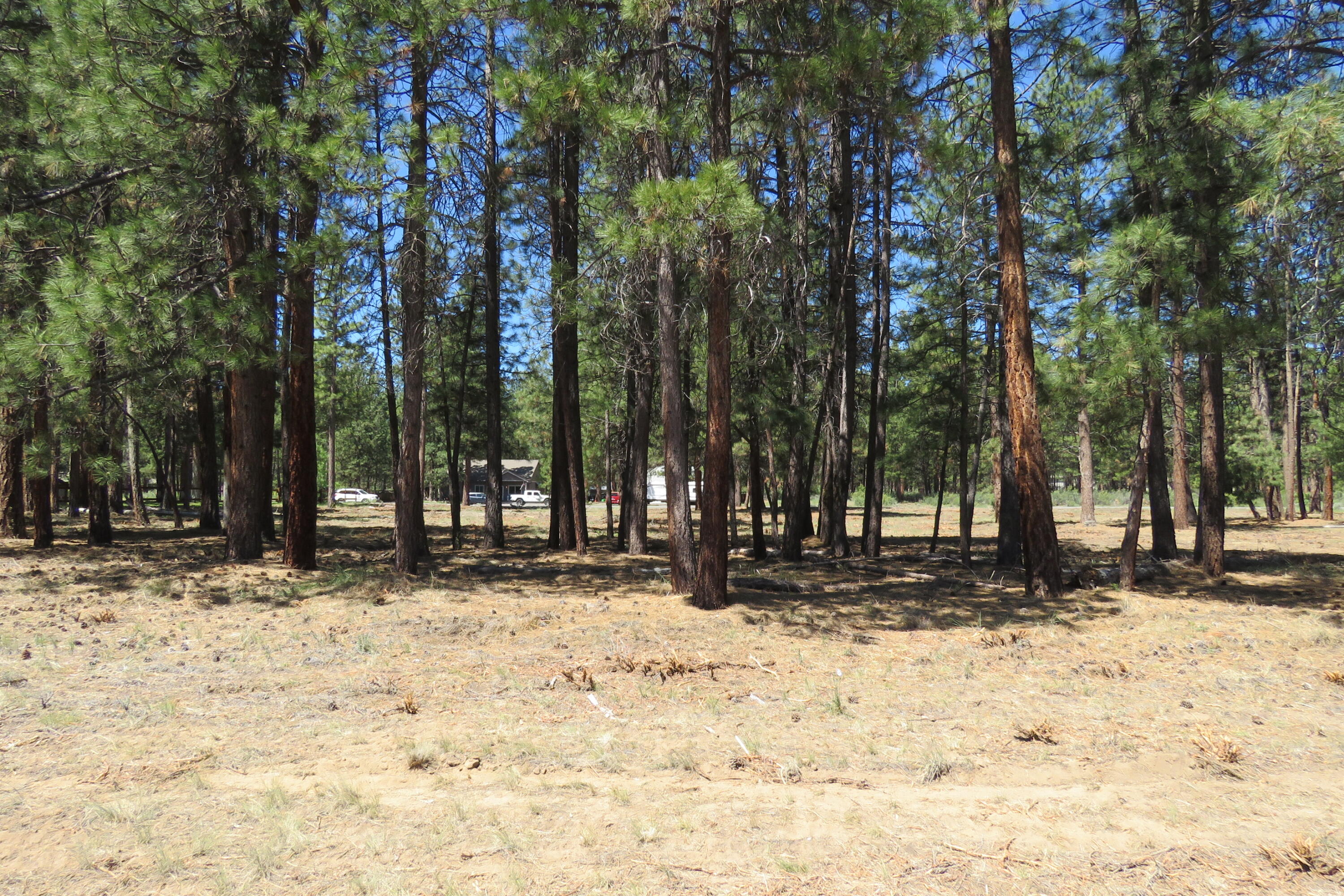Pine Meadow Village -Phase 1 - Land