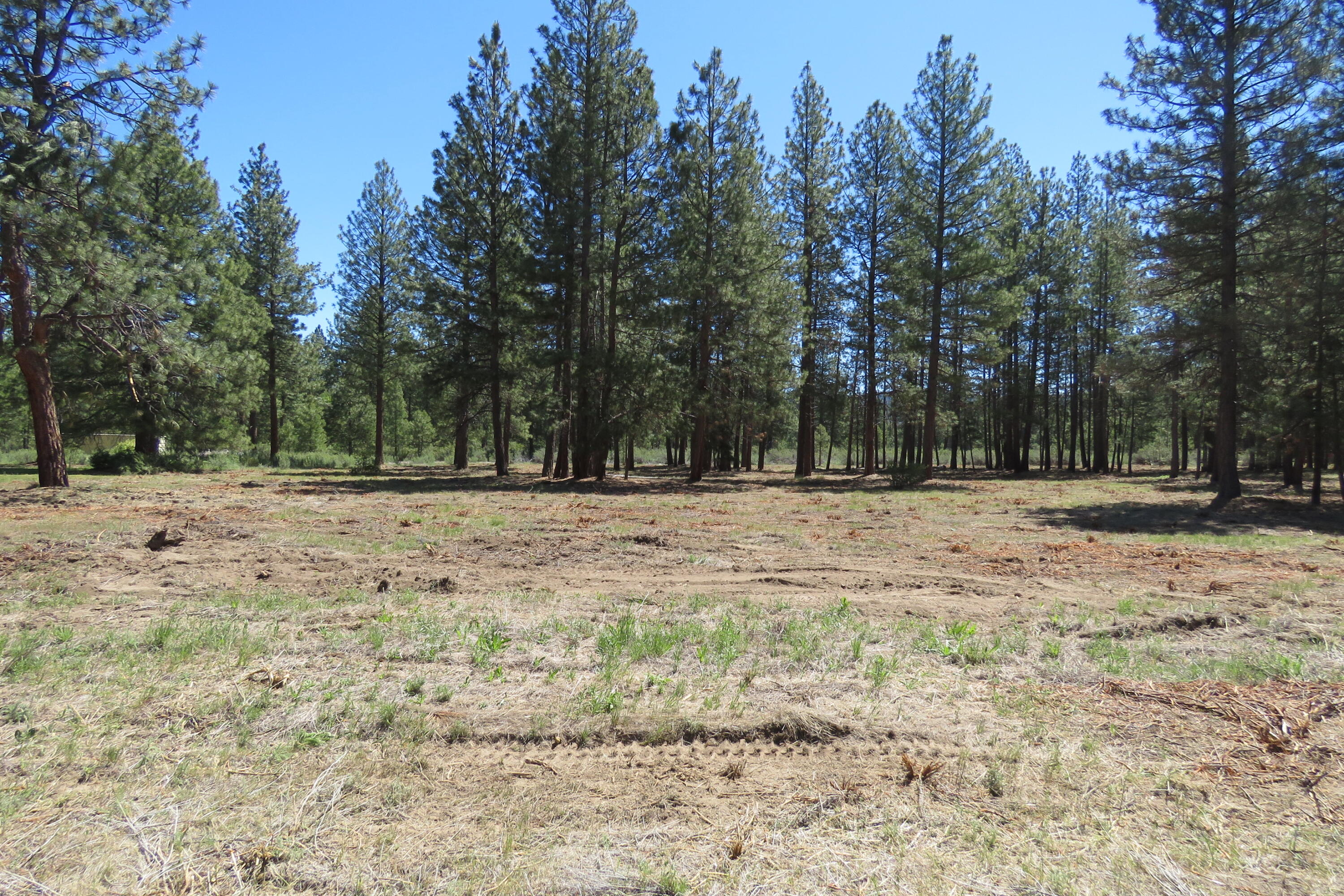 Pine Meadow Village -Phase 1 - Land