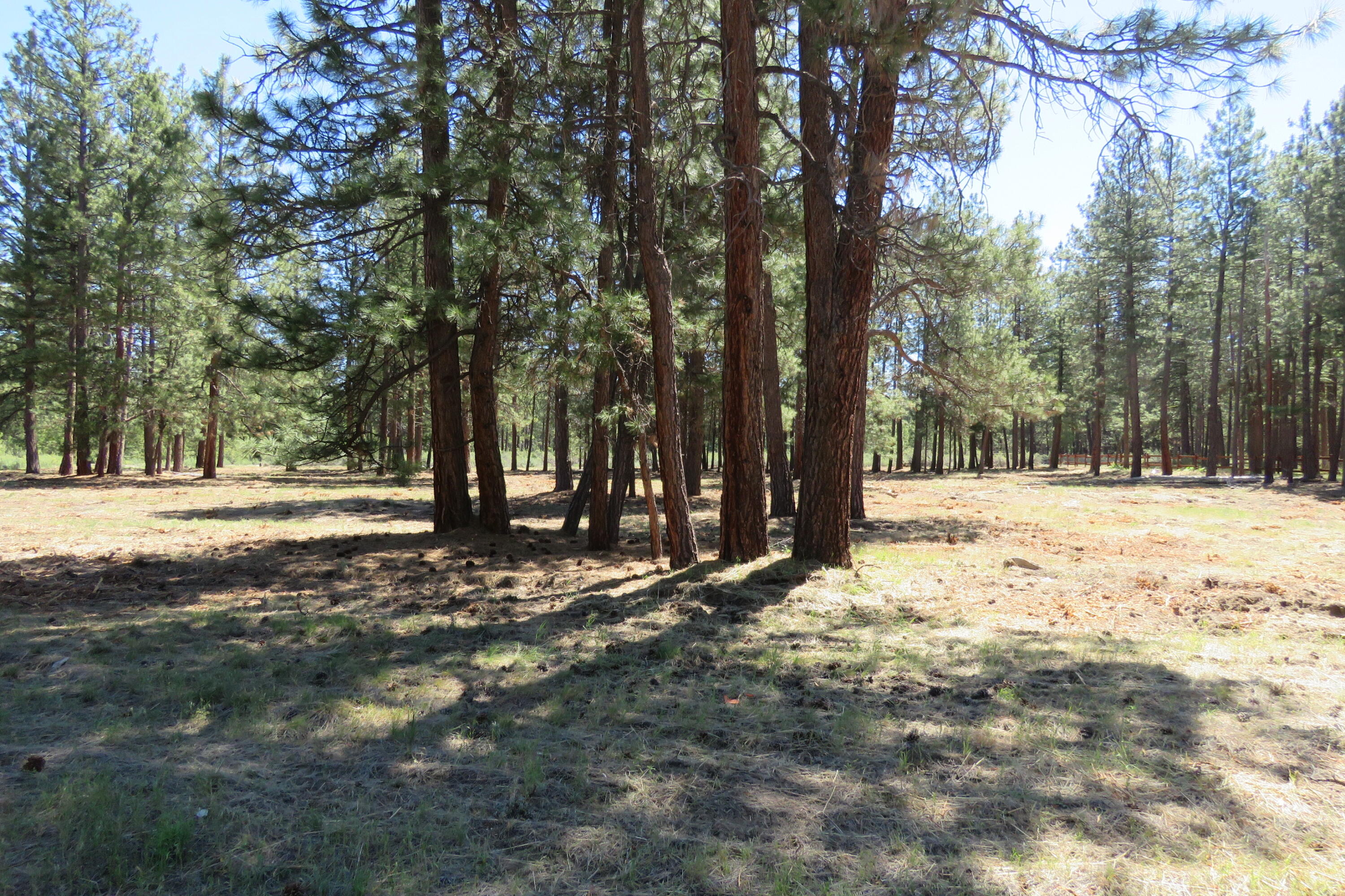 Pine Meadow Village -Phase 1 - Land