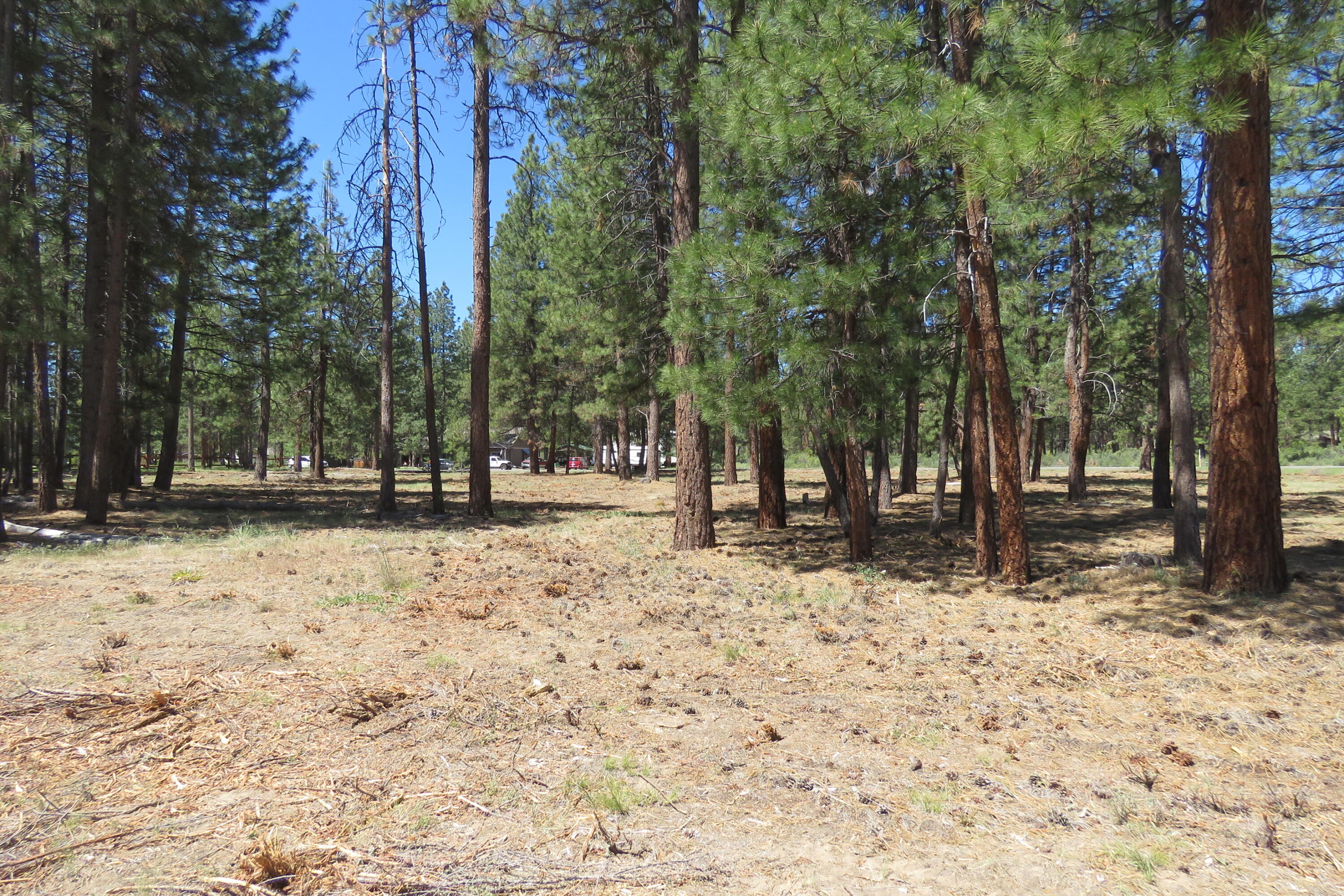 Pine Meadow Village -Phase 1 - Land