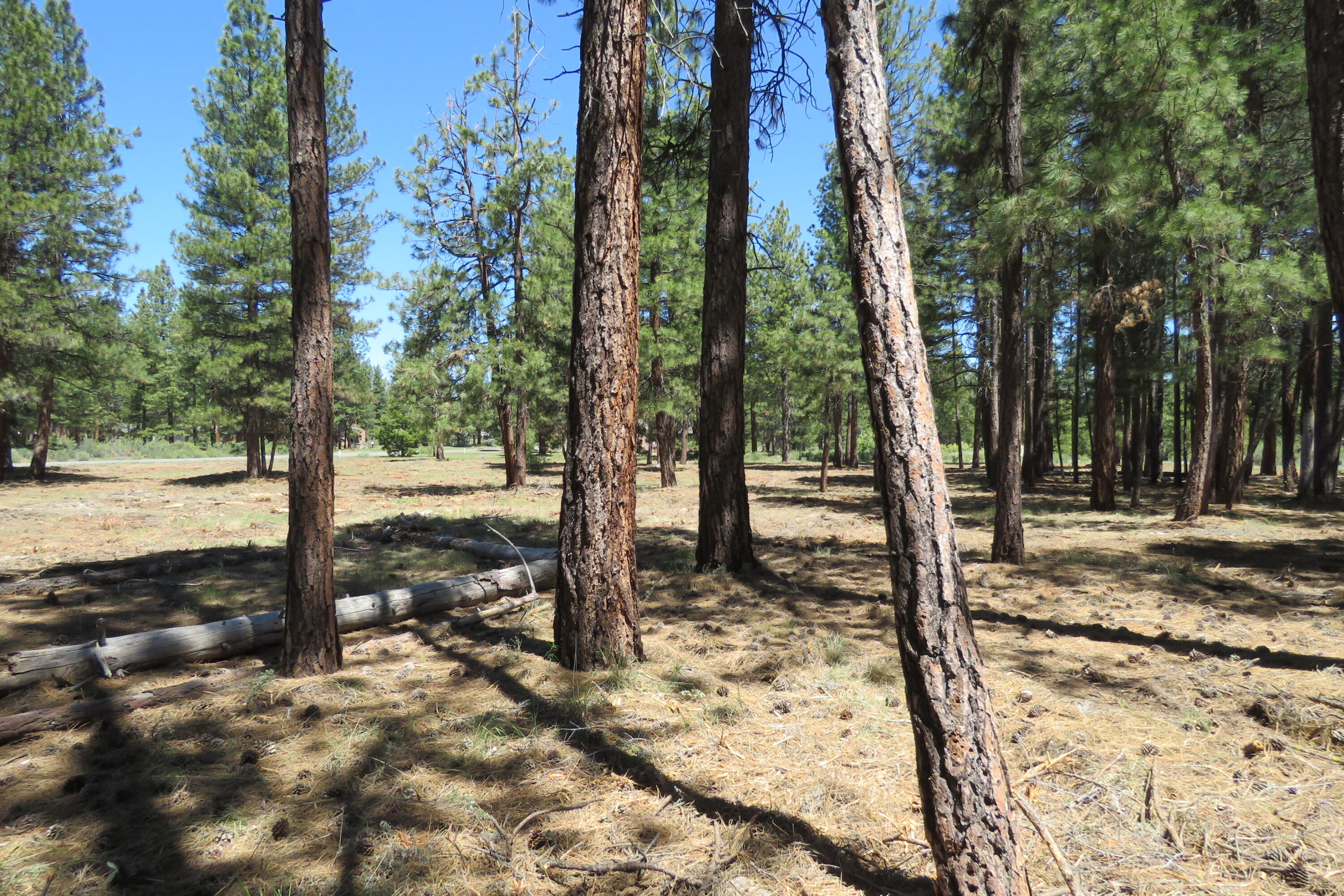 Pine Meadow Village -Phase 1 - Land