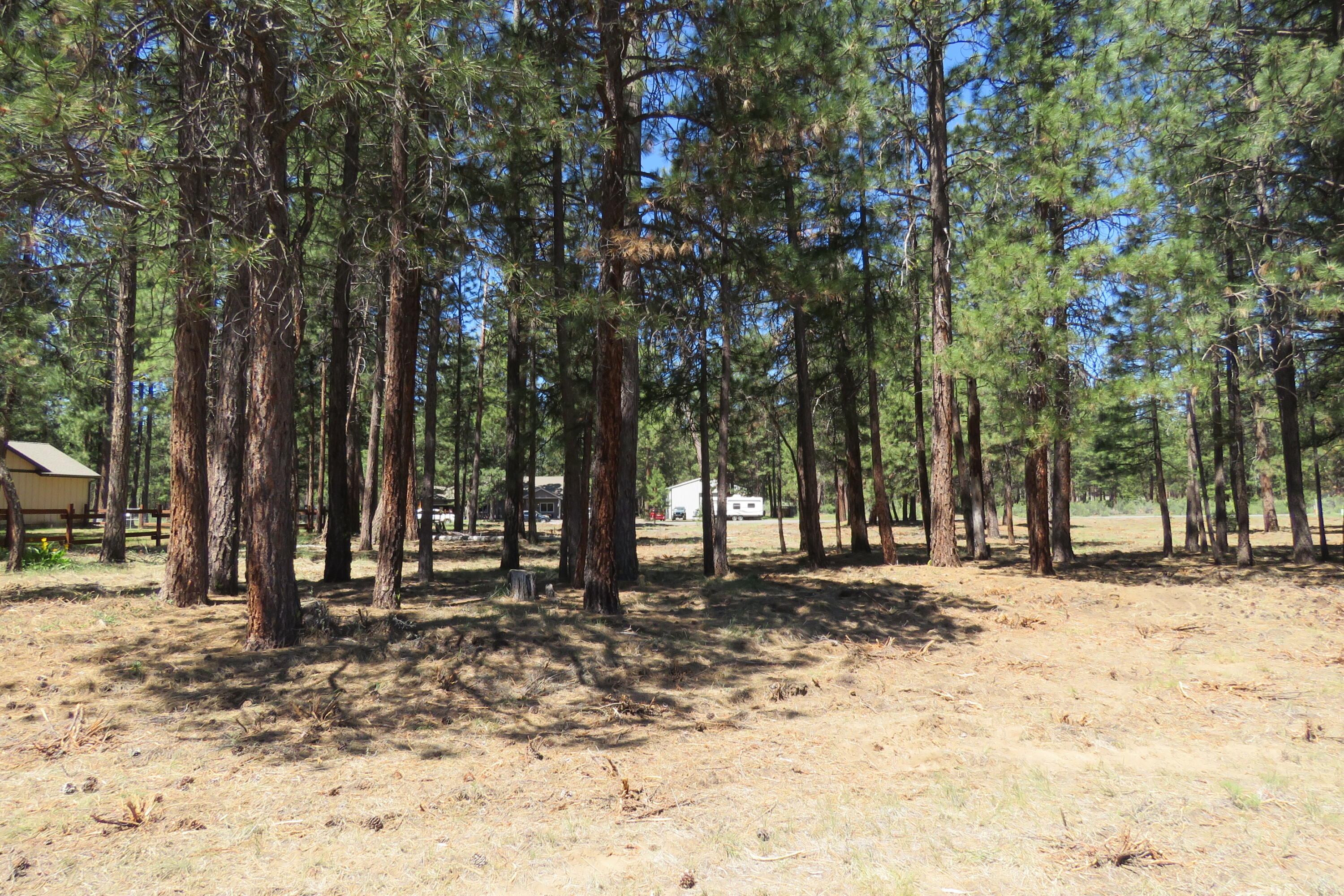 Pine Meadow Village -Phase 1 - Land