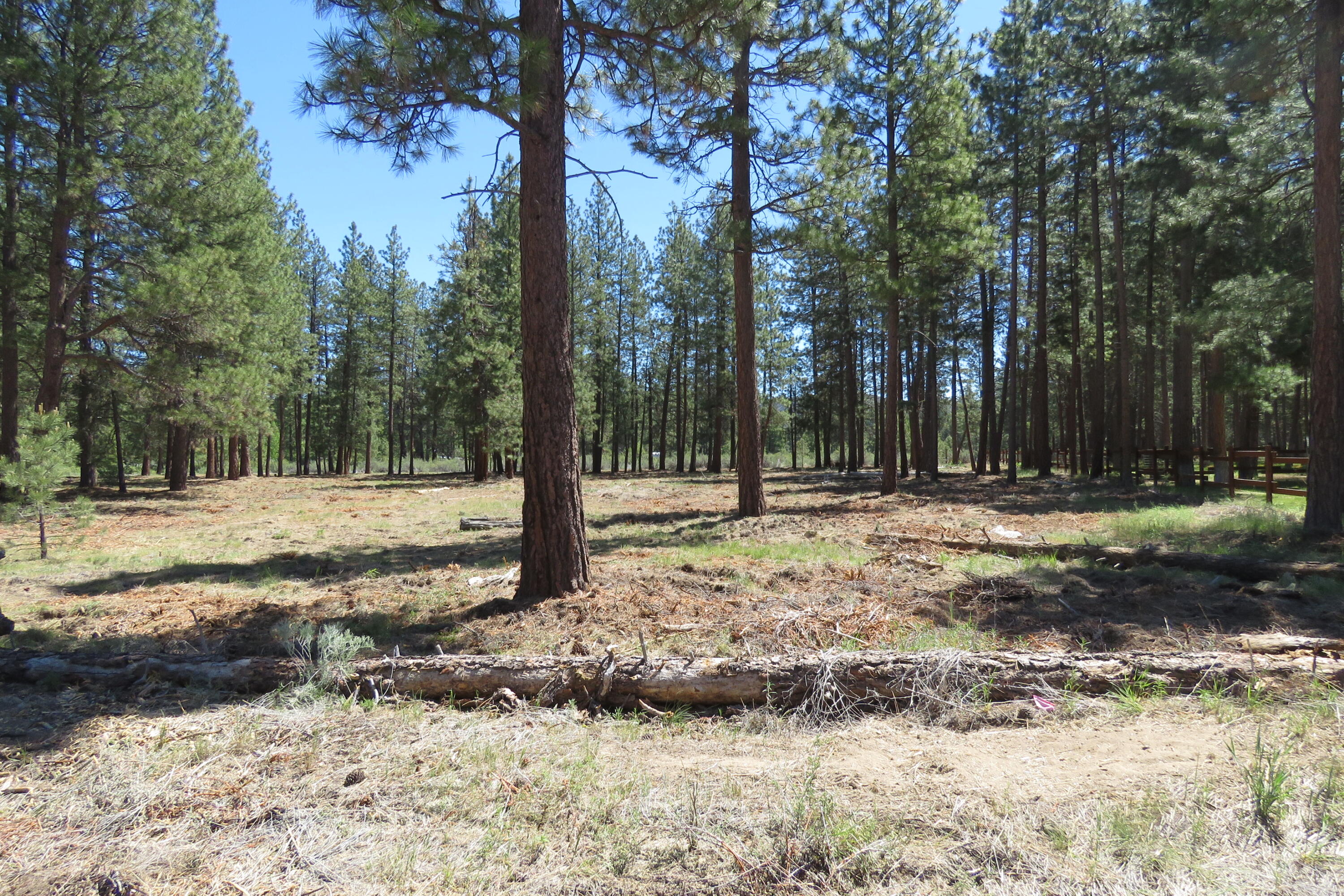 Pine Meadow Village -Phase 1 - Land