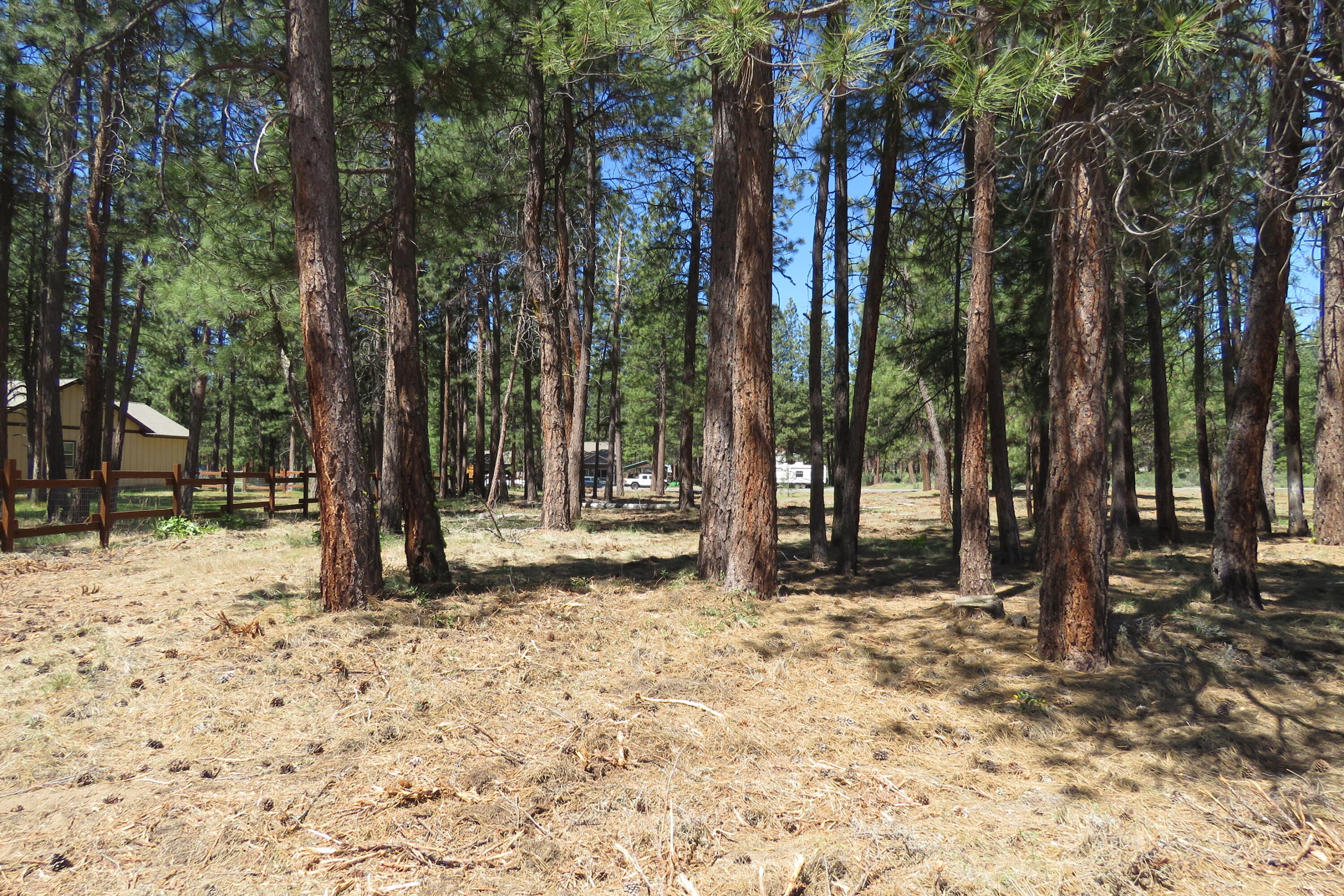 Pine Meadow Village -Phase 1 - Land