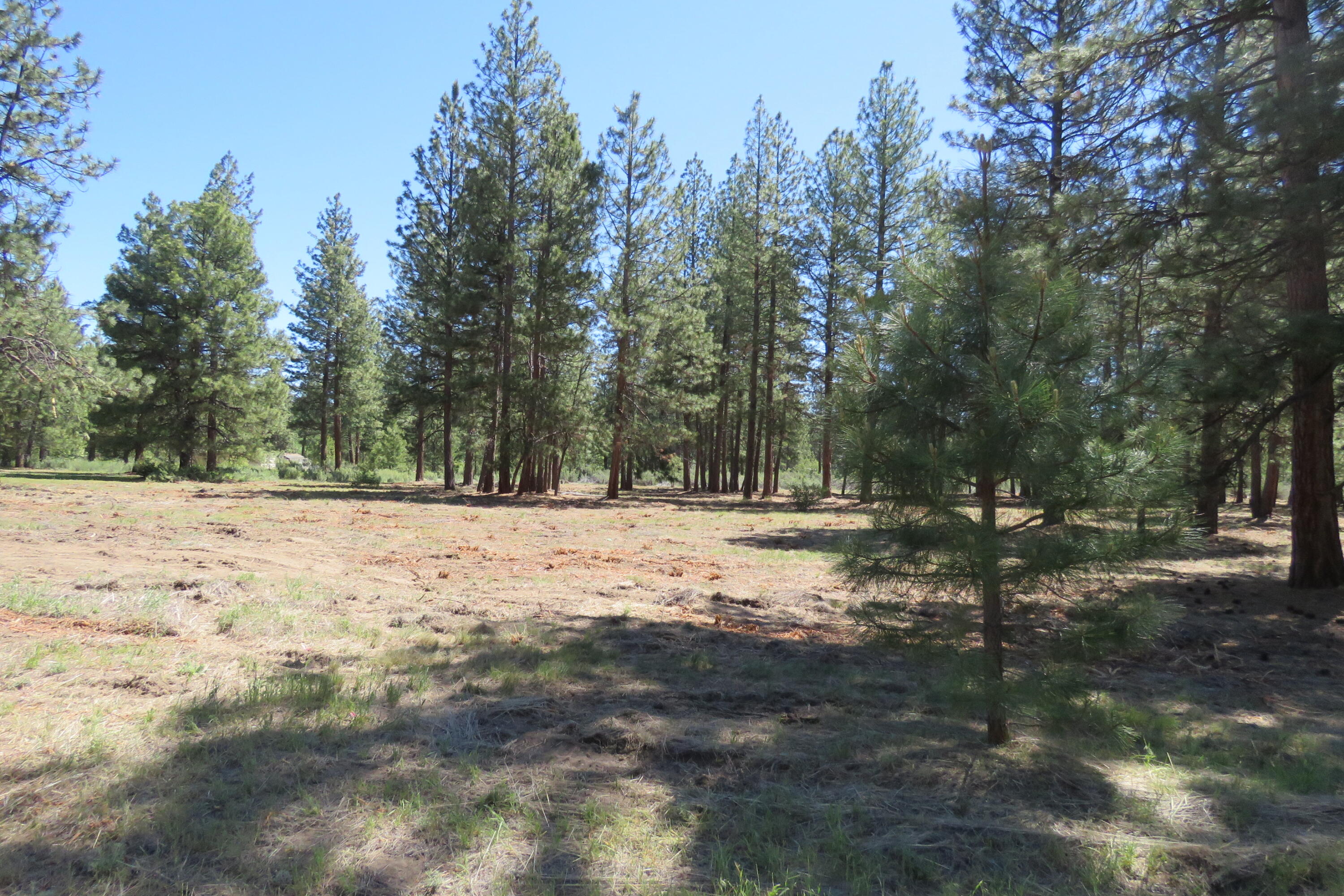 Pine Meadow Village -Phase 1 - Land