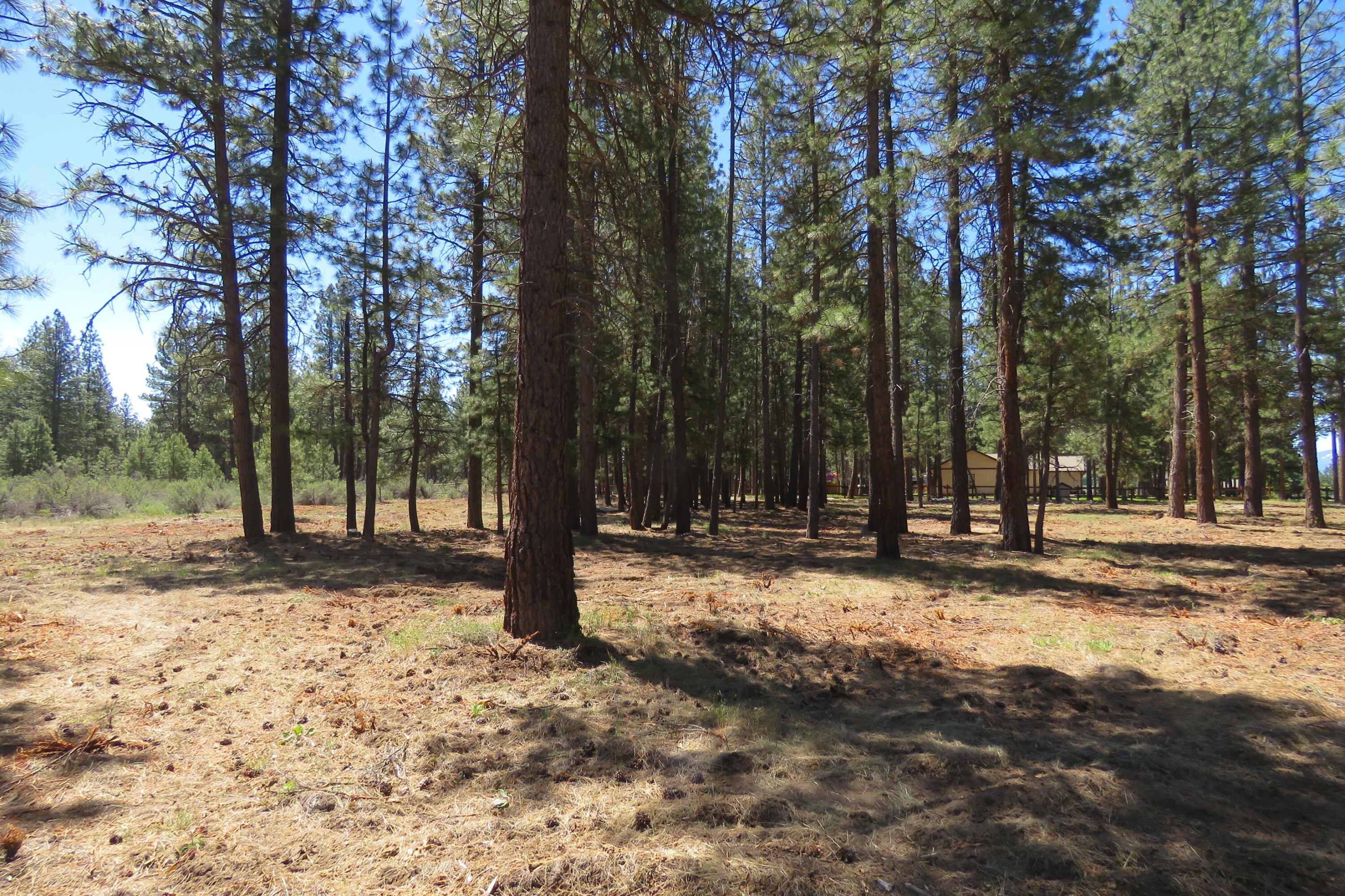Pine Meadow Village -Phase 1 - Land