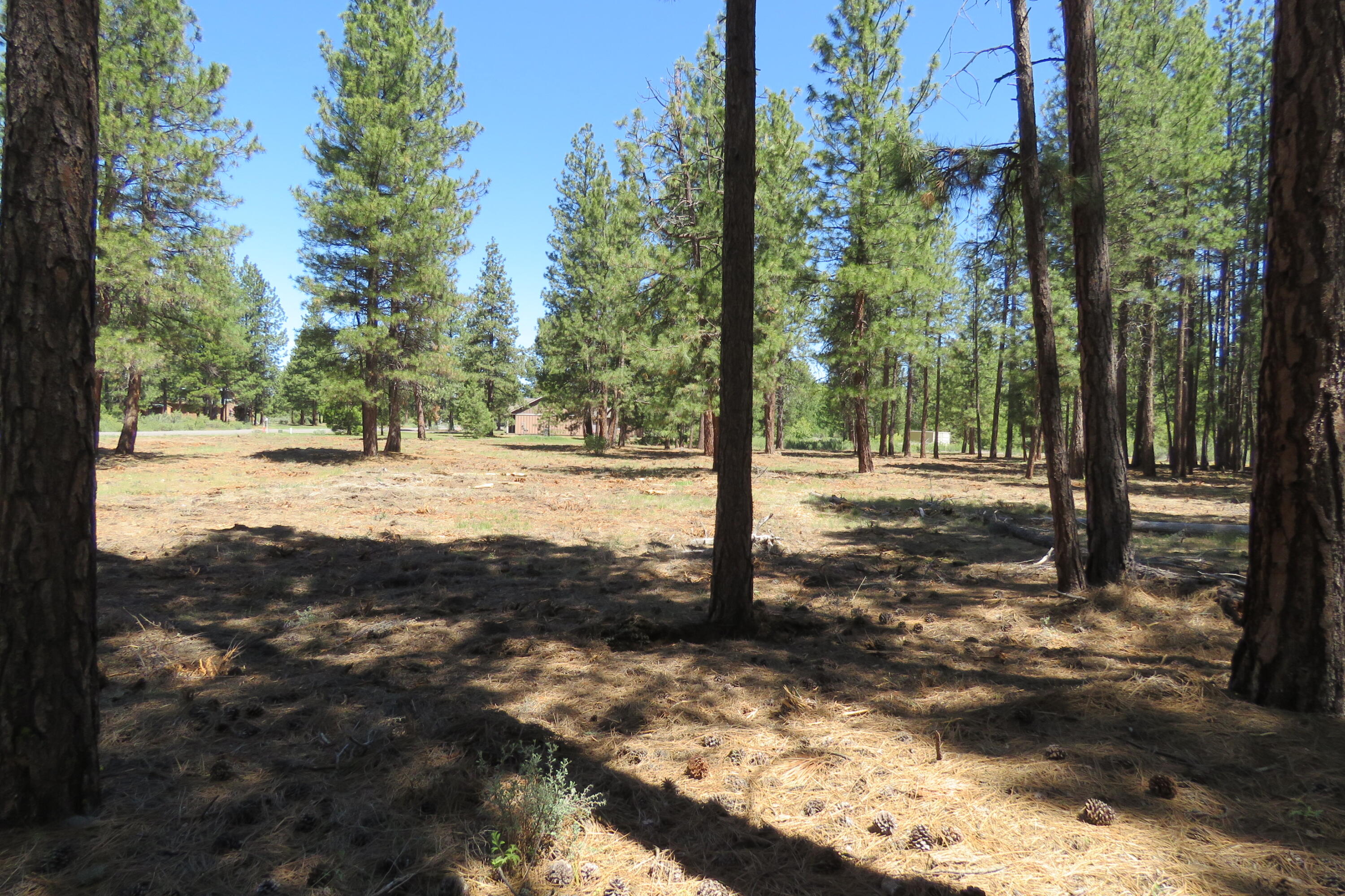 Pine Meadow Village -Phase 1 - Land