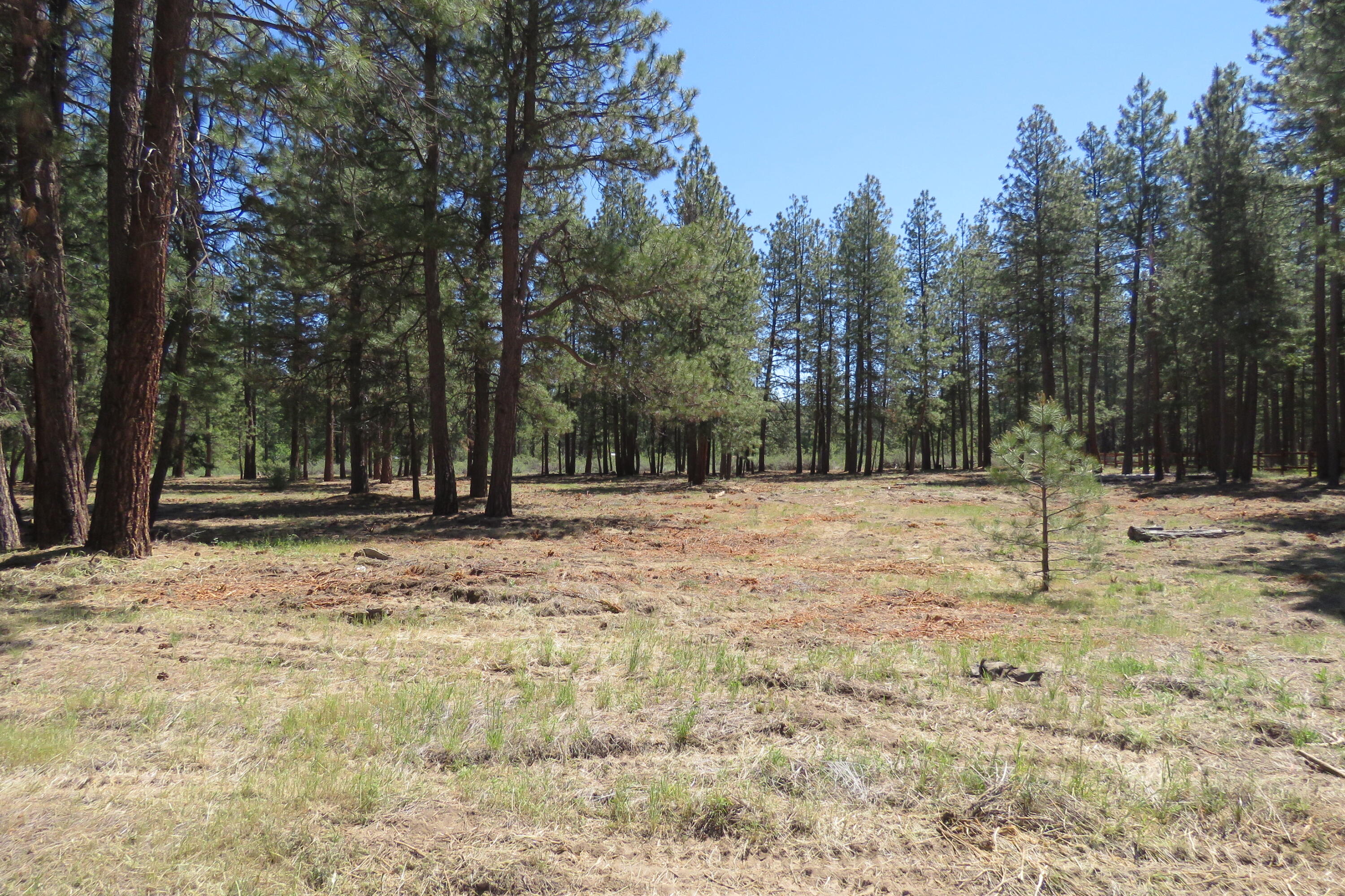 Pine Meadow Village -Phase 1 - Land