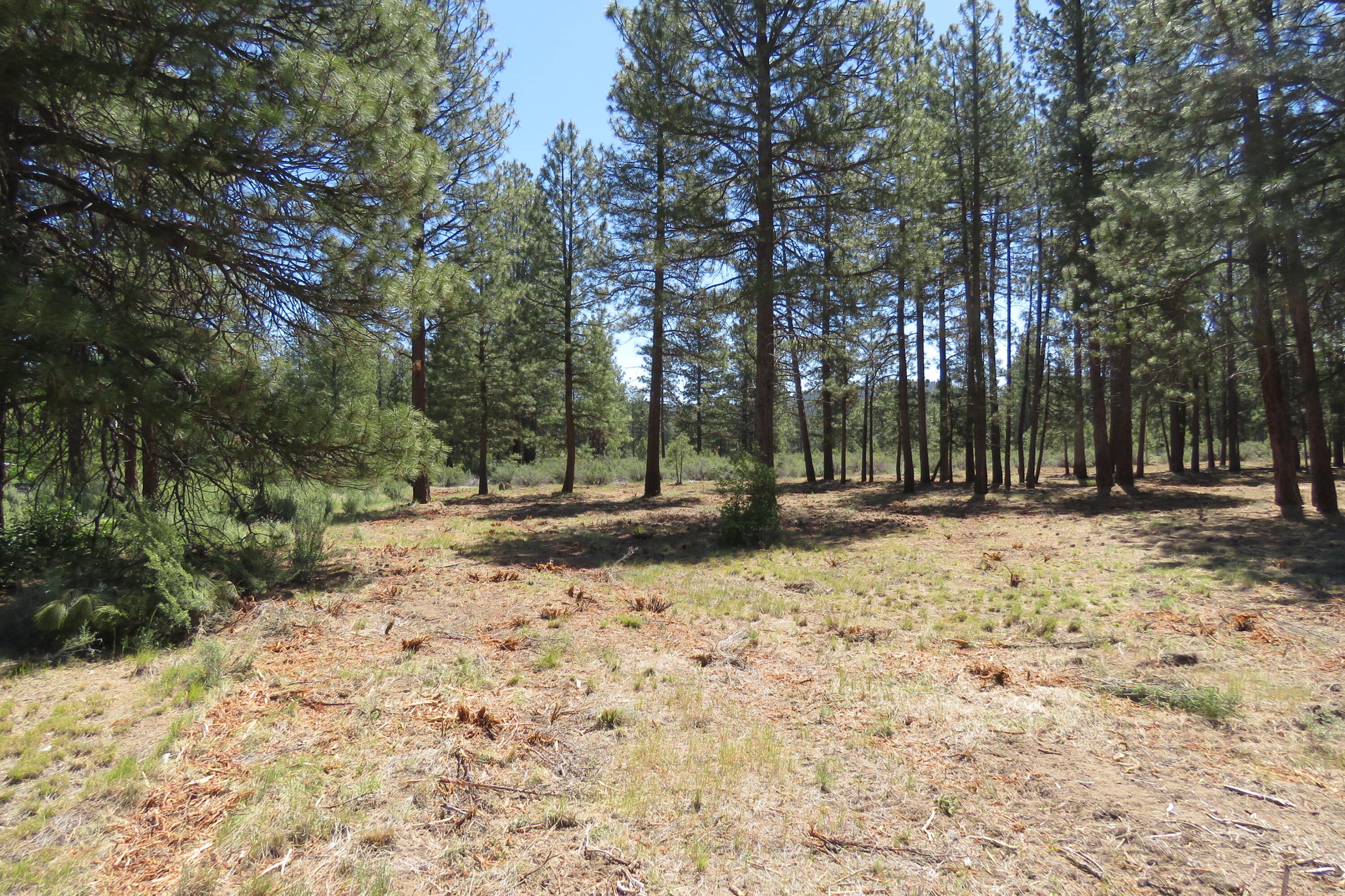 Pine Meadow Village -Phase 1 - Land