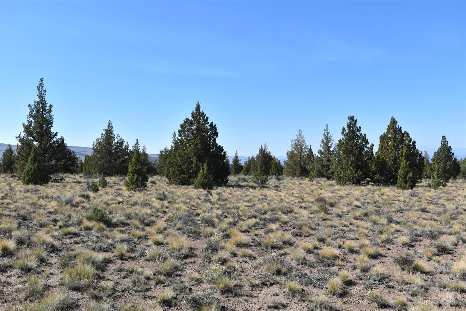 Juniper Acres - Land