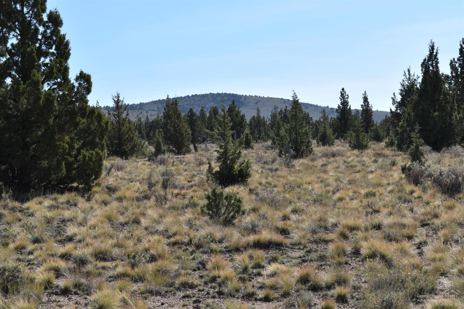 Juniper Acres - Land