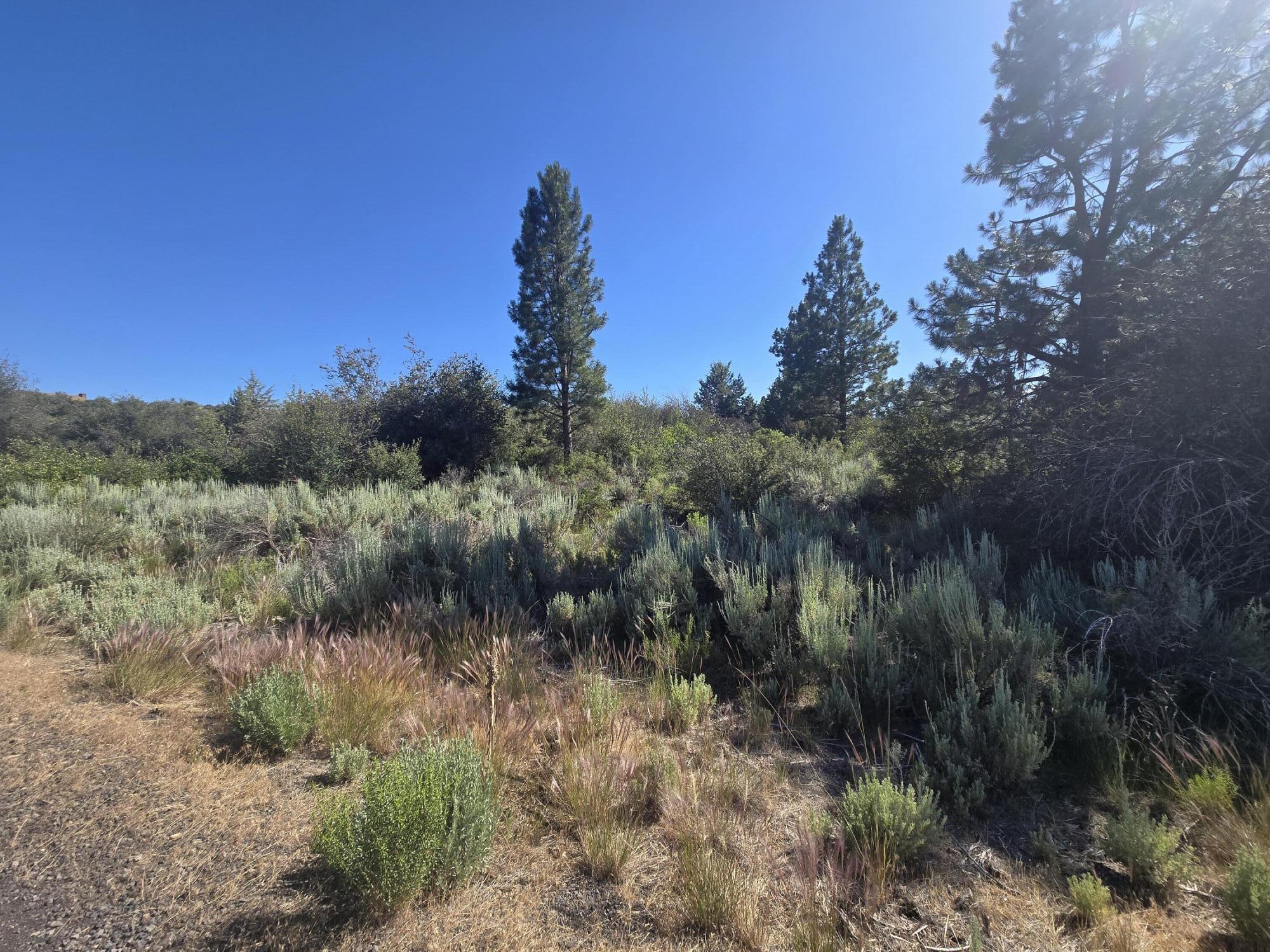 Discover the beauty of this scenic 0.31-acre corner lot in Oregon Shores 2.  Perfectly positioned to capture peaceful views of Agency Lake and the Cascade Mountains, it's an excellent site for your future home.  This property includes valuable community perks such as road maintenance, winter snow removal, and water all for just $200 annually. A short drive brings you to Chiloquin for restaurants, shopping, gas and casino.  It is also close to the Sprague and Williamson Rivers and Klamath Falls.  Come take a look at this lot and start building your dream home!