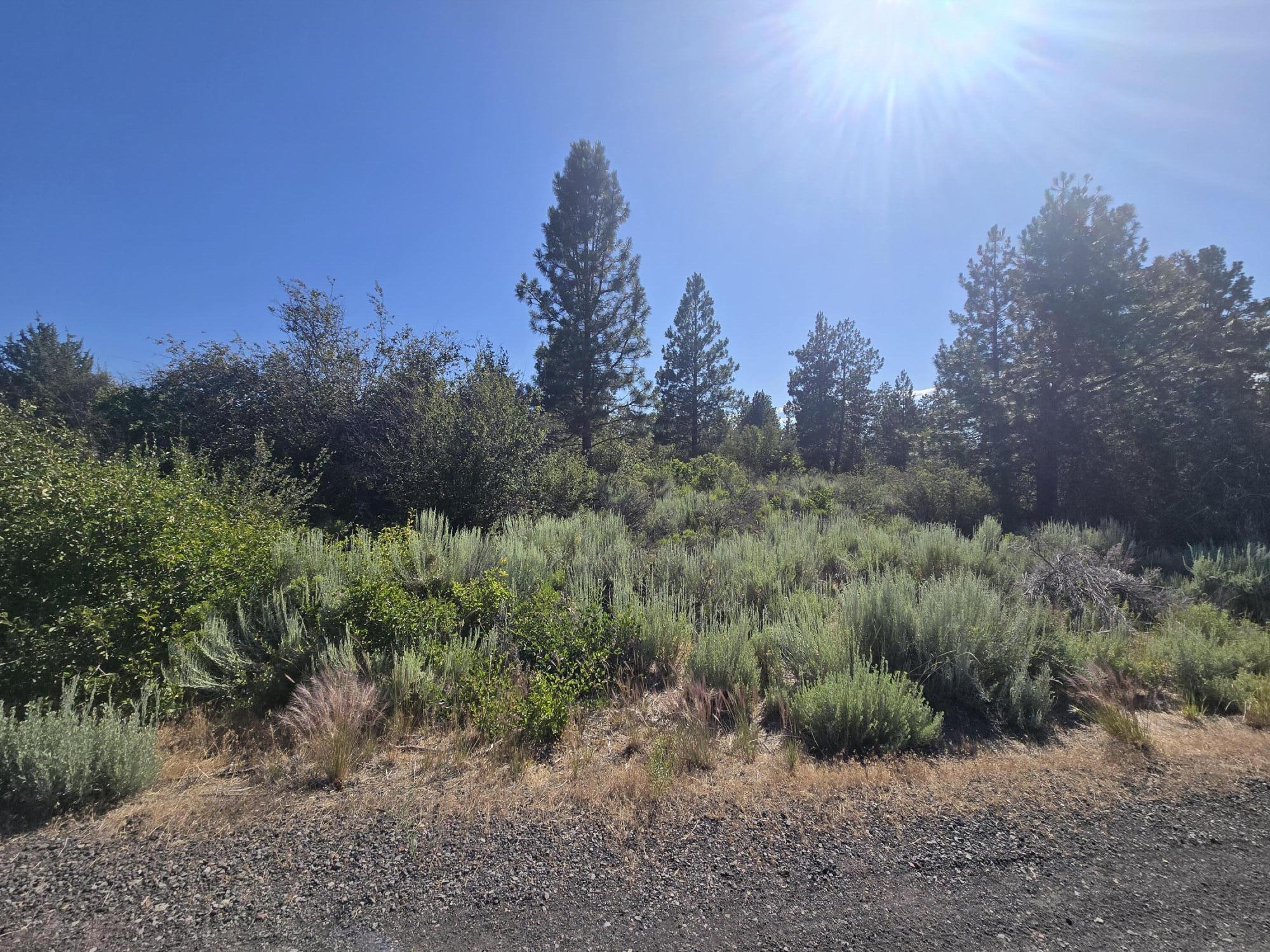 Oregon Shores -Unit 2 - Land