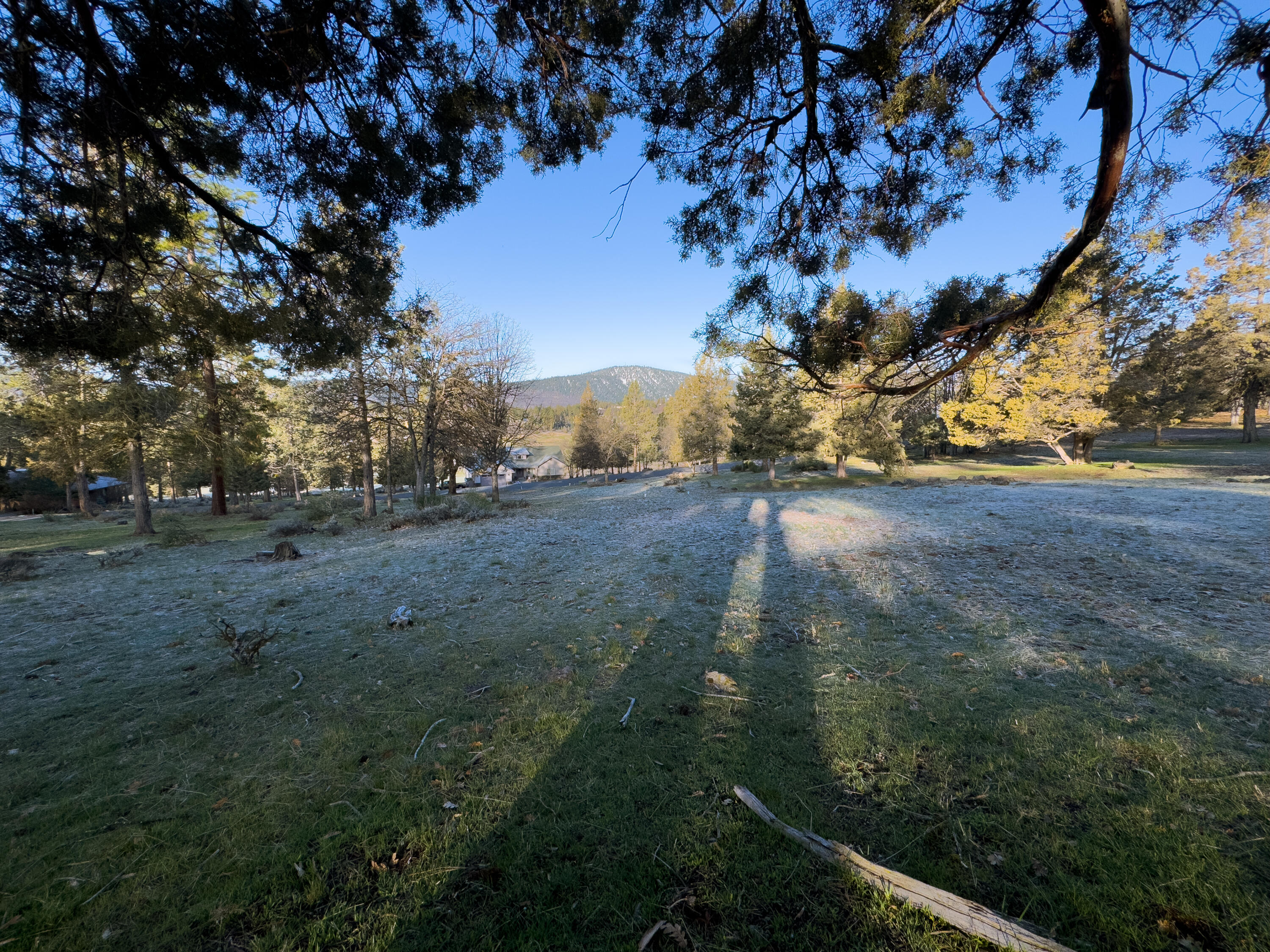 Running YResort - Land