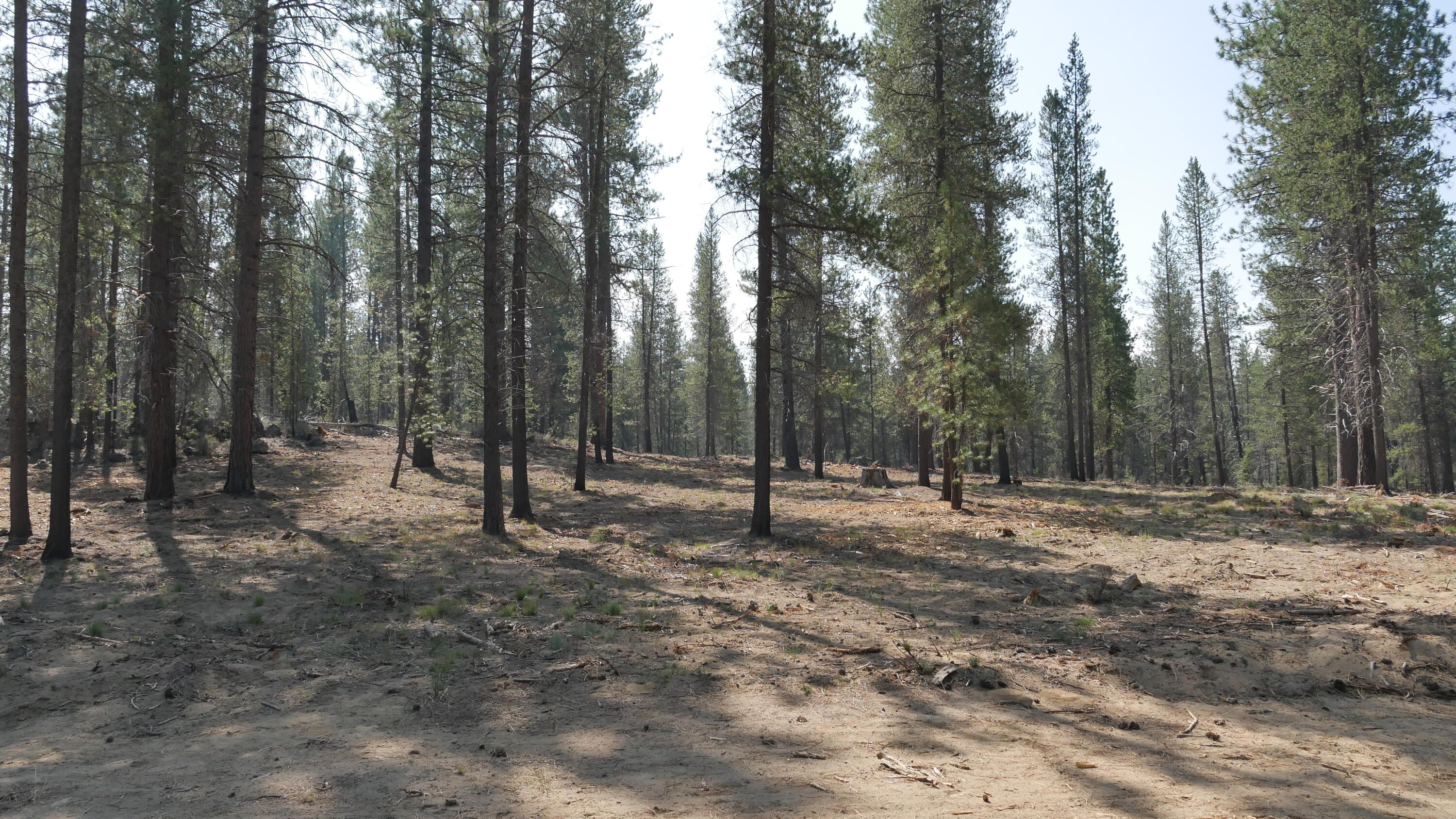 One of the most coveted communities in Central Oregon, the Mirror Rock neighborhood is the first new neighborhood in Caldera Springs since 2007. The expansion of Caldera Springs also includes planned amenities such as a new pool with water slide and family game room. A park featuring pickleball courts, climbing and play structures, small and large dog parks, along with miles of new paved and soft trails that connect to existing pathways and trails throughout Caldera Springs and Sunriver. Homeowners will also have access to Caldera Links, and the popular Sunriver Resort facilities. Taxes are not included. Taxes will be determined after final recorded plat and appointed assessor's parcel number.