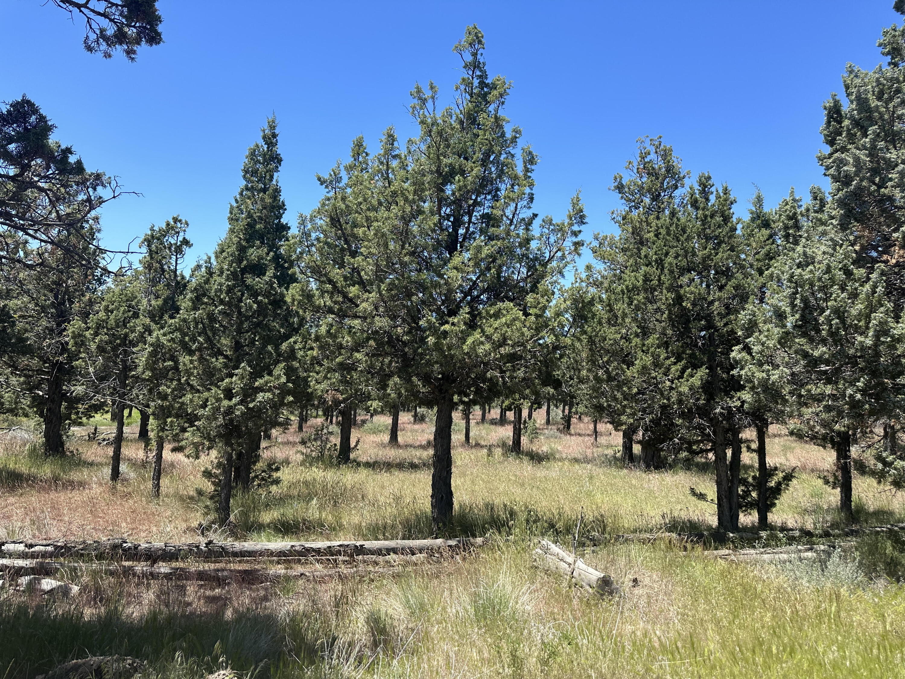 Prineville Lake Acres 1 - Land