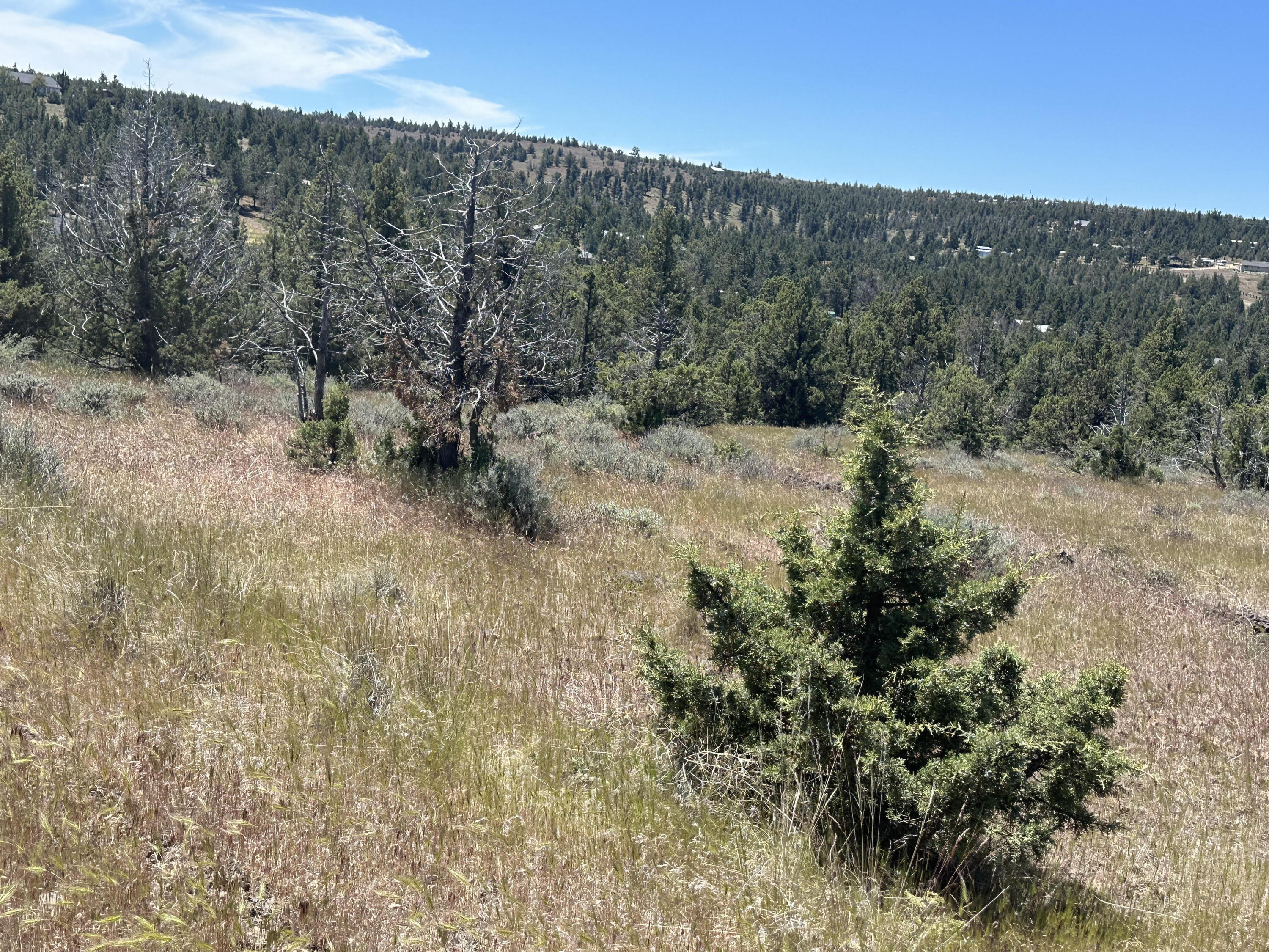 Prineville Lake Acres 1 - Land