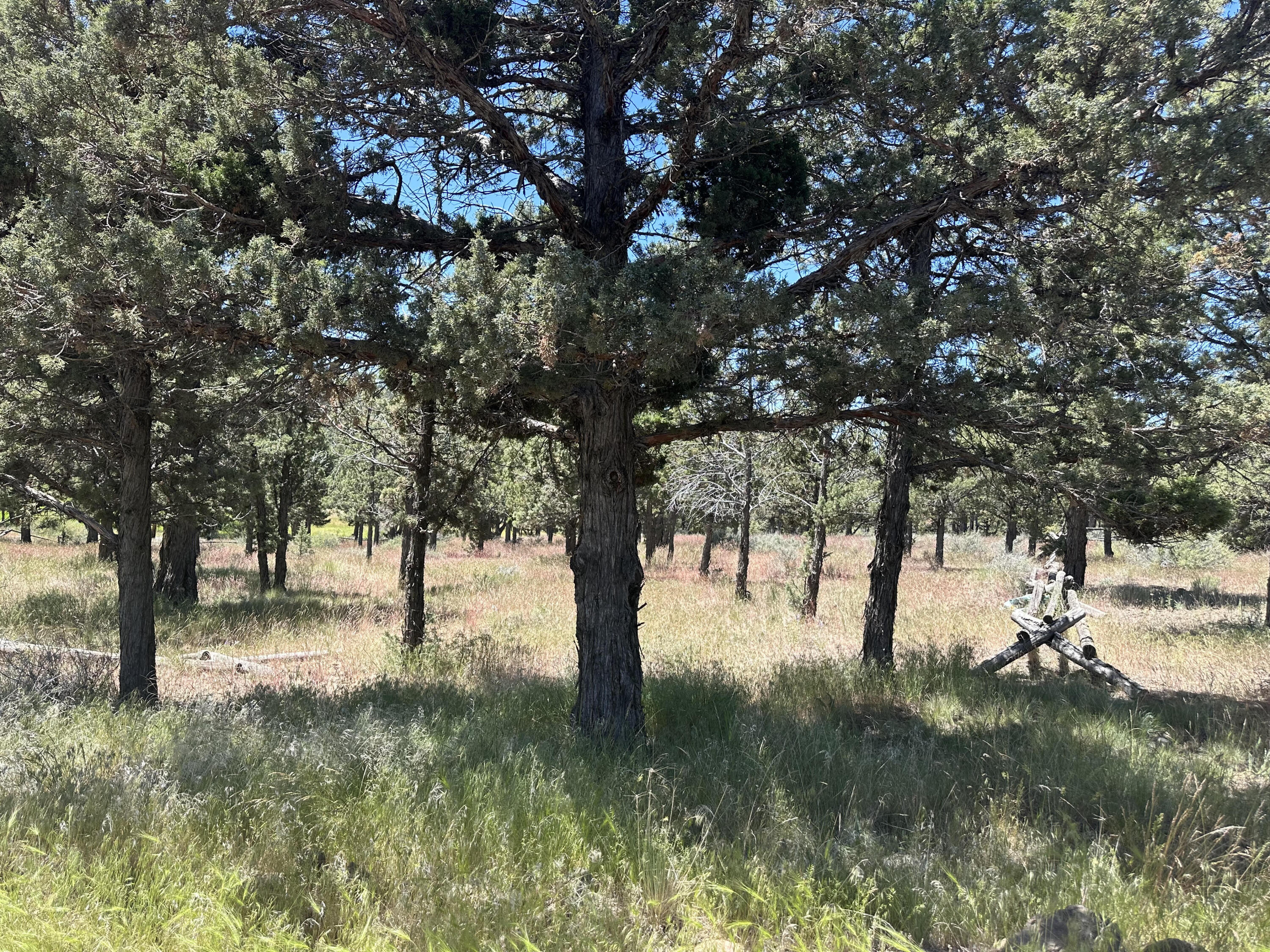 Prineville Lake Acres 1 - Land