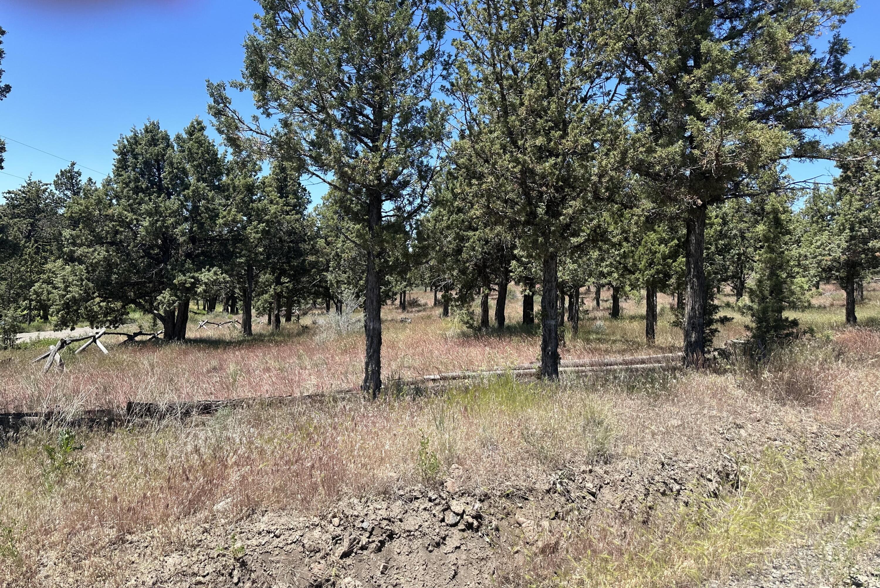 Prineville Lake Acres 1 - Land