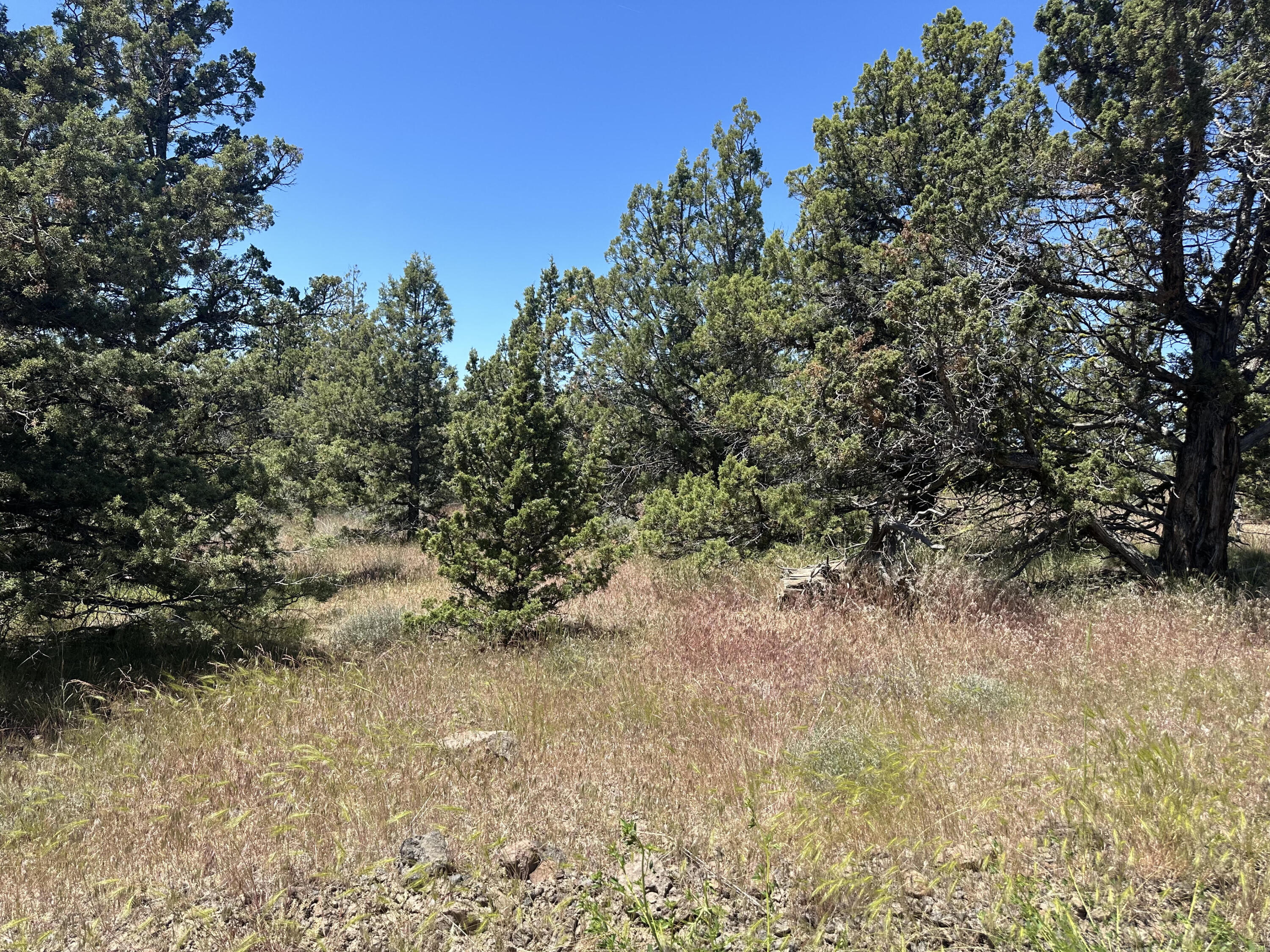 Prineville Lake Acres 1 - Land