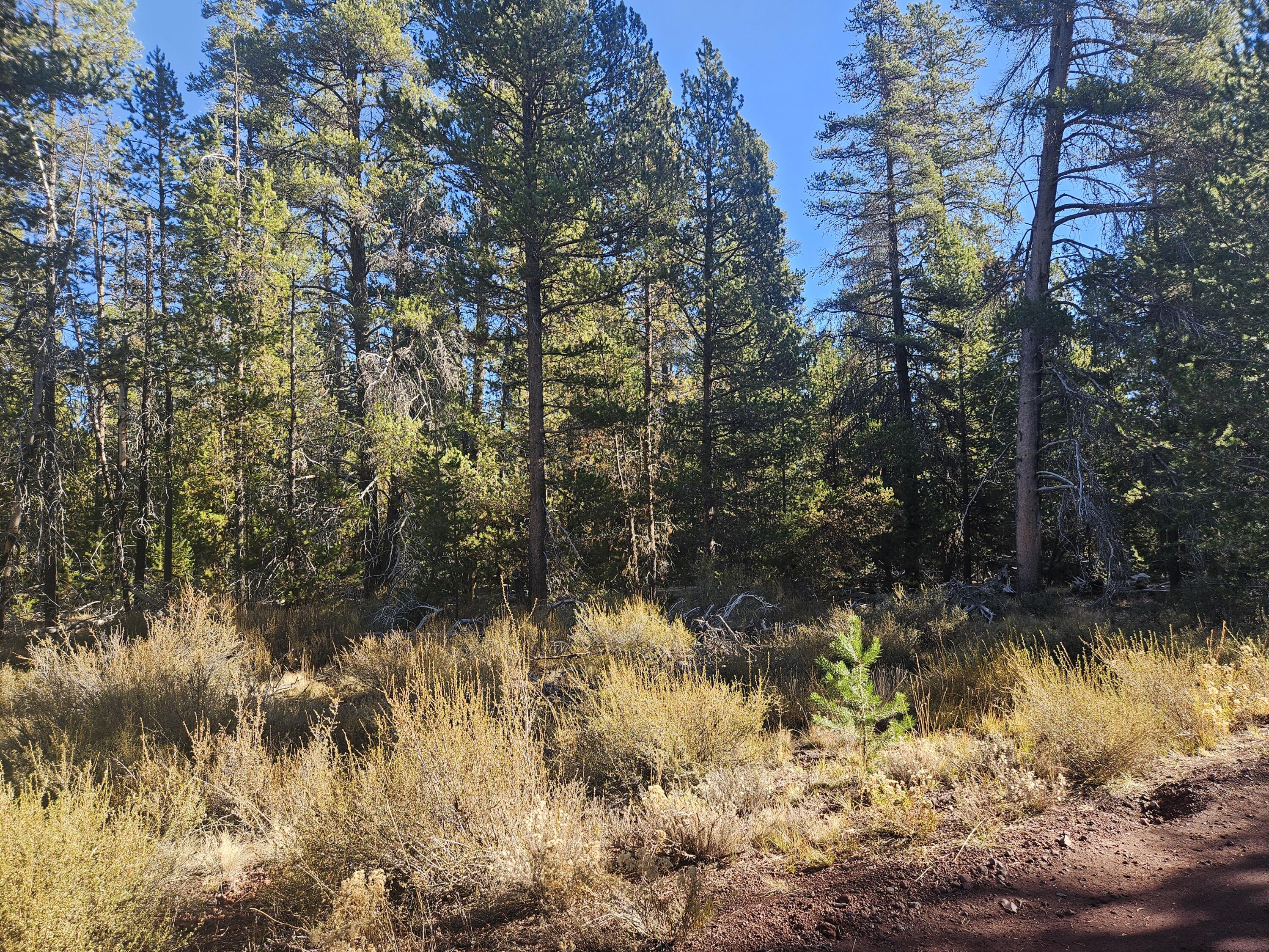 Mt. Scott Meadow - Land