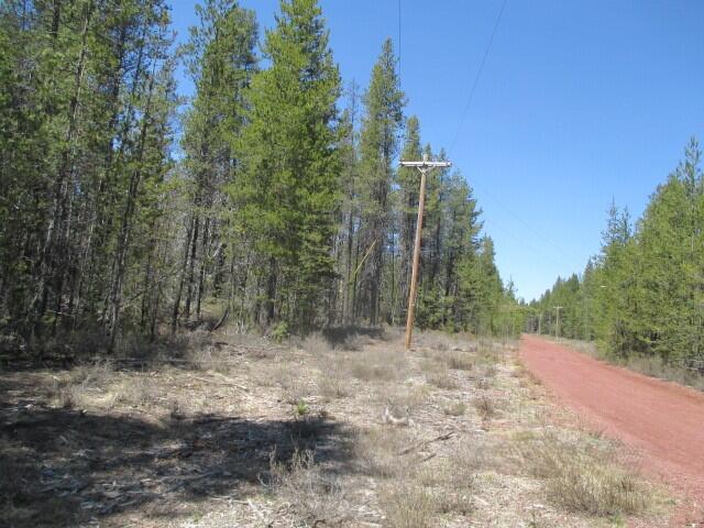 Mt. Scott Meadow - Land