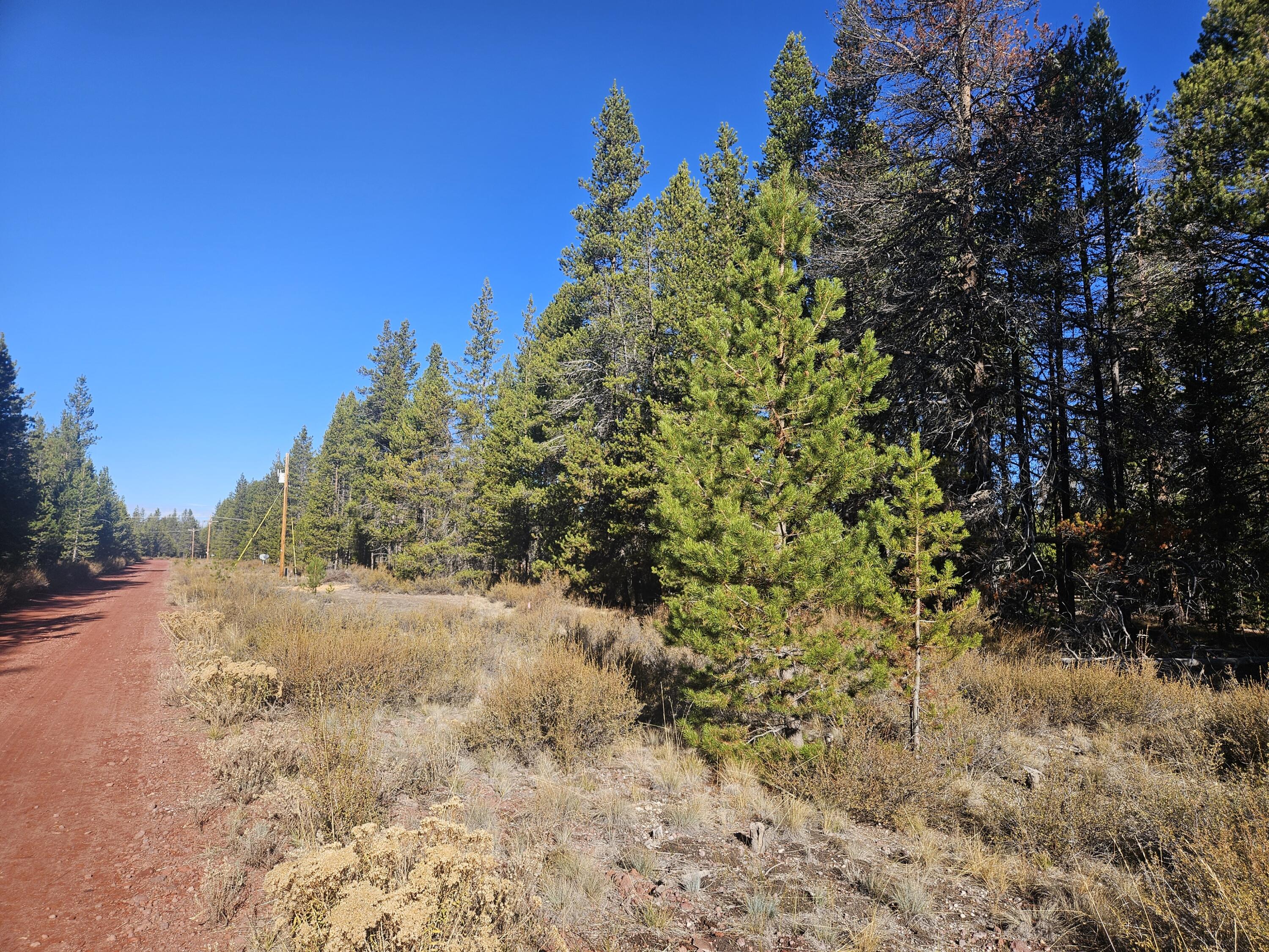 Create your perfect Oregon retreat on this stunning, level, over one-acre parcel in the coveted Mt. Scott Meadows area. Surrounded by peaceful pine trees, this land offers an ideal setting for a permanent residence or a private getaway cabin. Outdoor enthusiasts will appreciate the prime location, offering proximity to all-season recreational activities. Experience world-class fishing at nearby Diamond Lake, incredible bird watching at Klamath Marsh, and the stunning natural beauty of Crater Lake National Park. Priced for a quick sale, this property won't last long, so seize this fantastic opportunity to secure your own slice of the Oregon wilderness today.