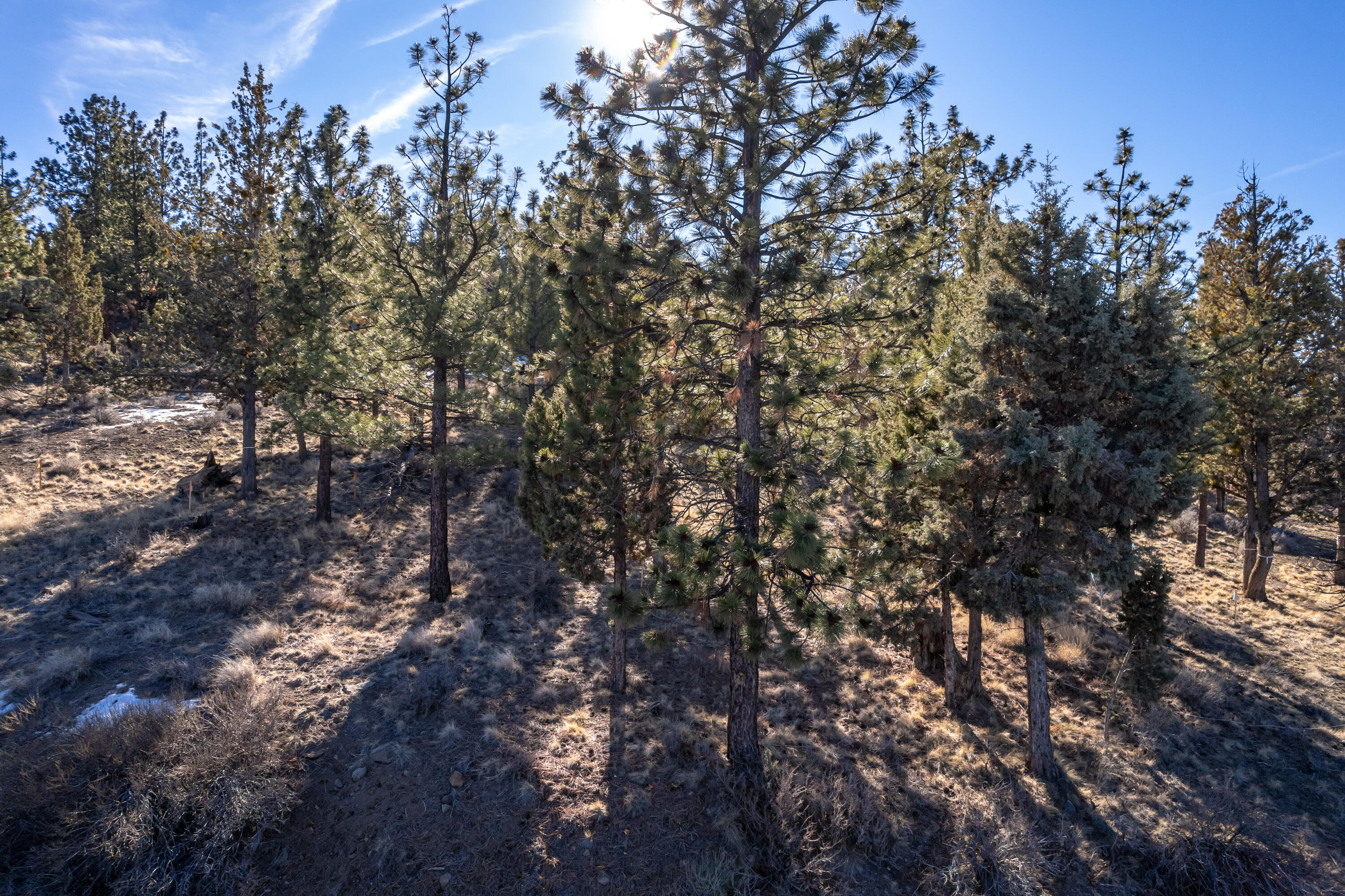 Awbrey Butte - Land