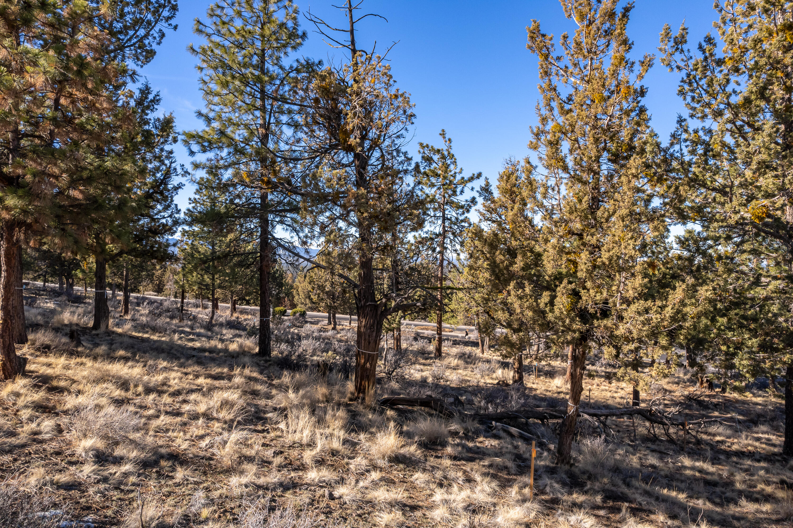 Awbrey Butte - Land