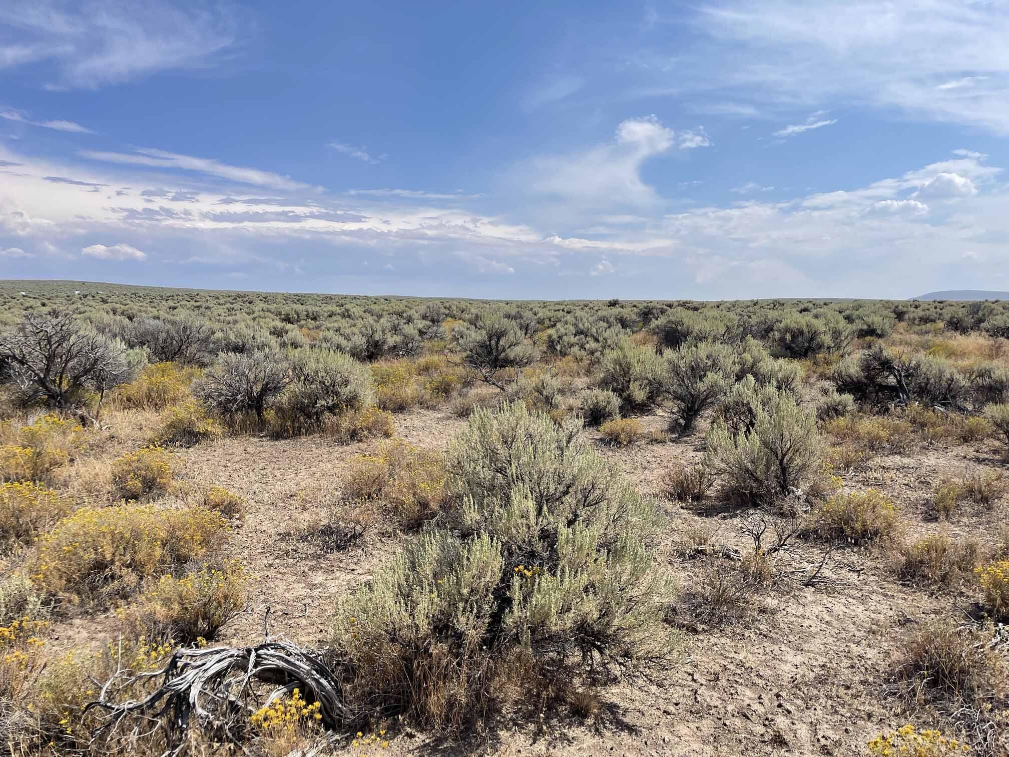 N/A - Land