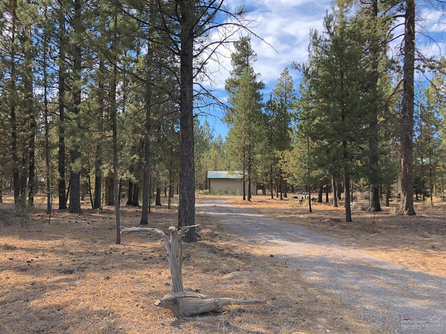 Forest View - Land