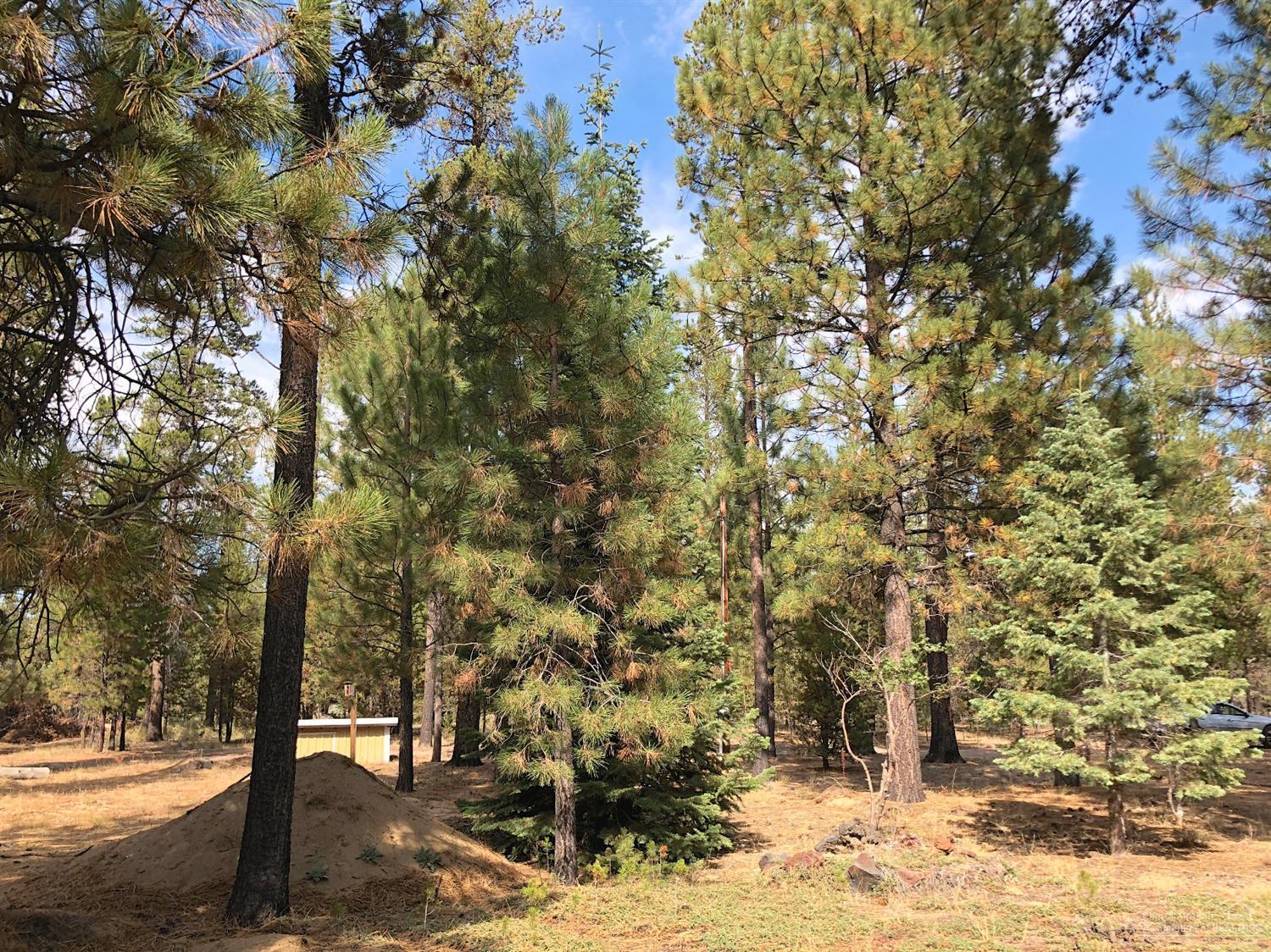 Forest View - Land
