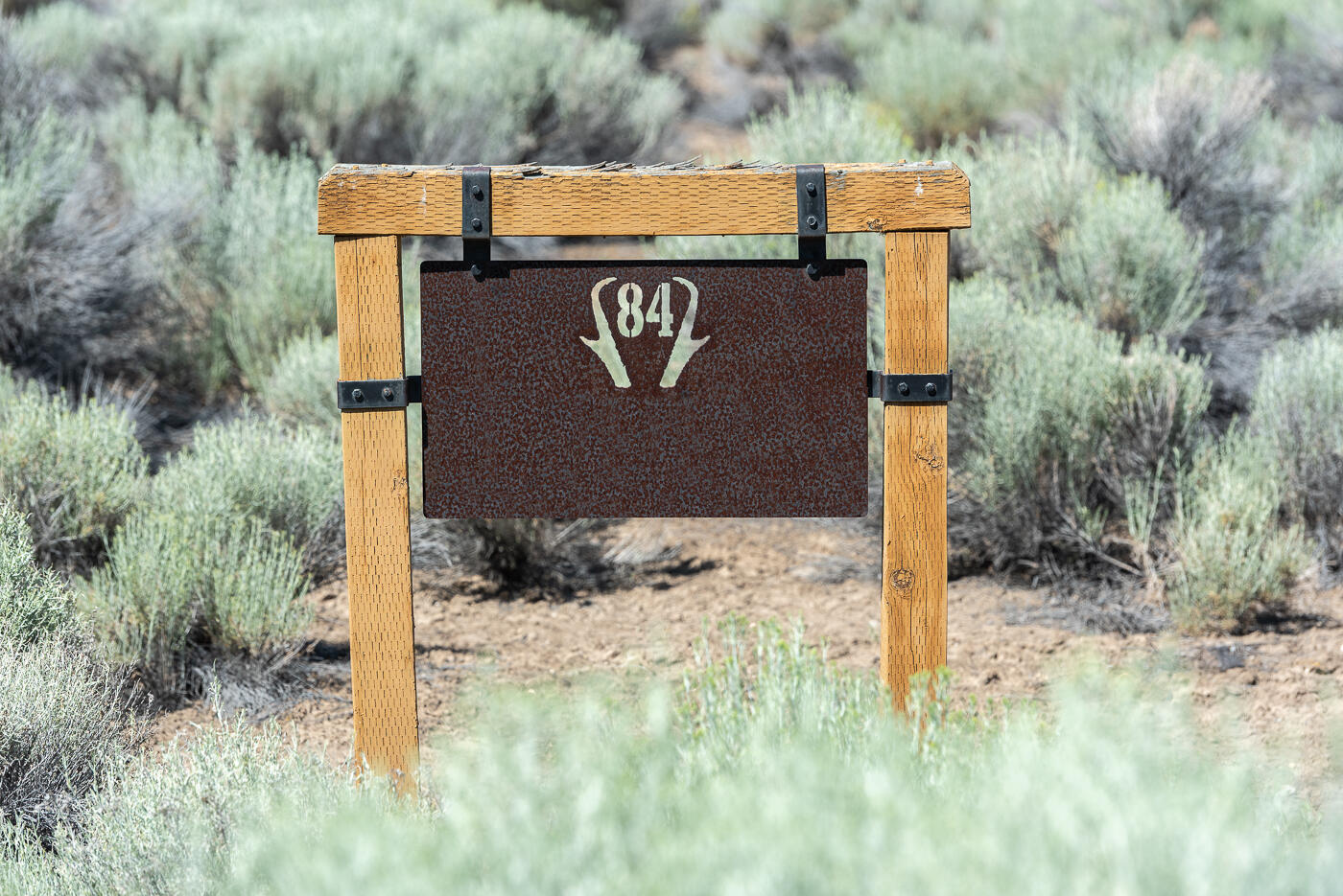 Pronghorn - Land