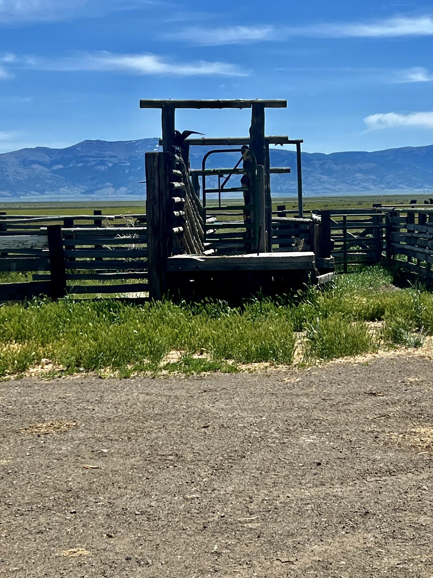 Lake County - Farm