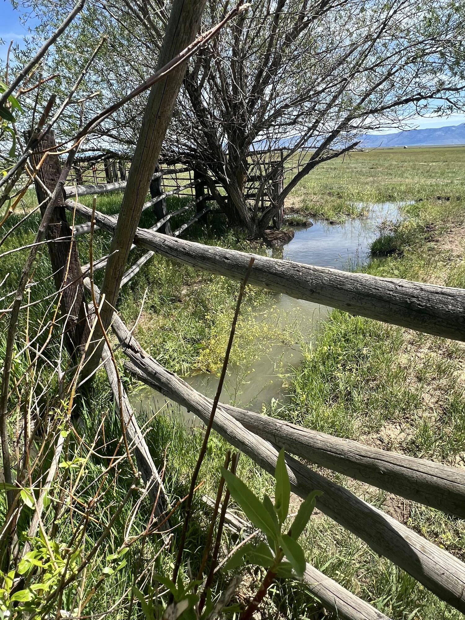 Lake County - Farm