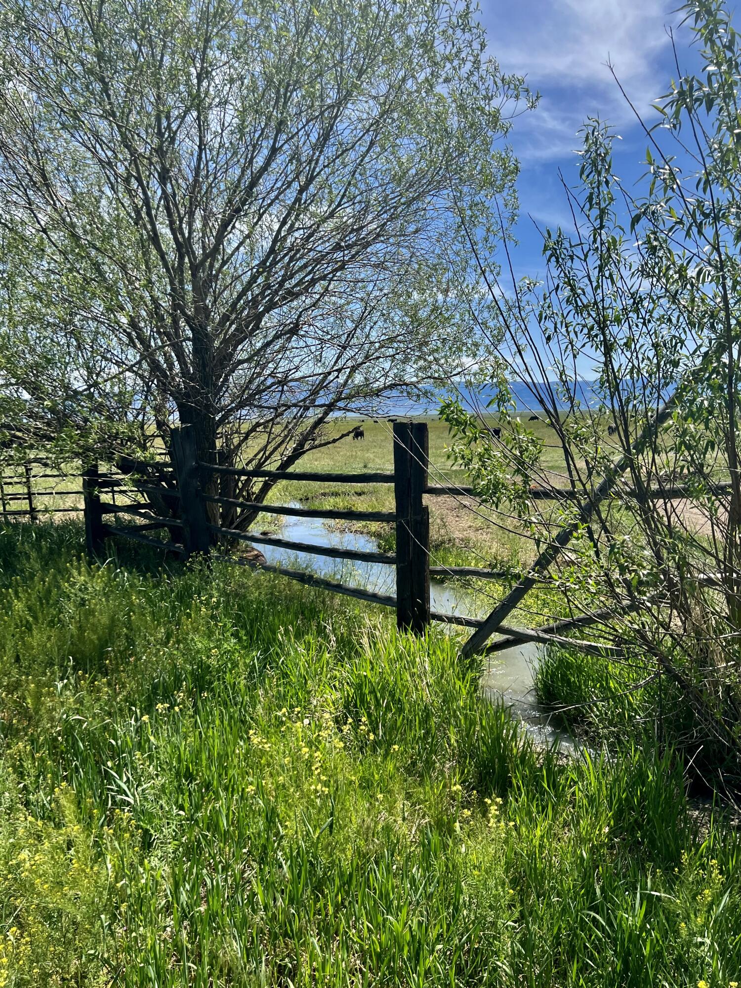 Lake County - Farm