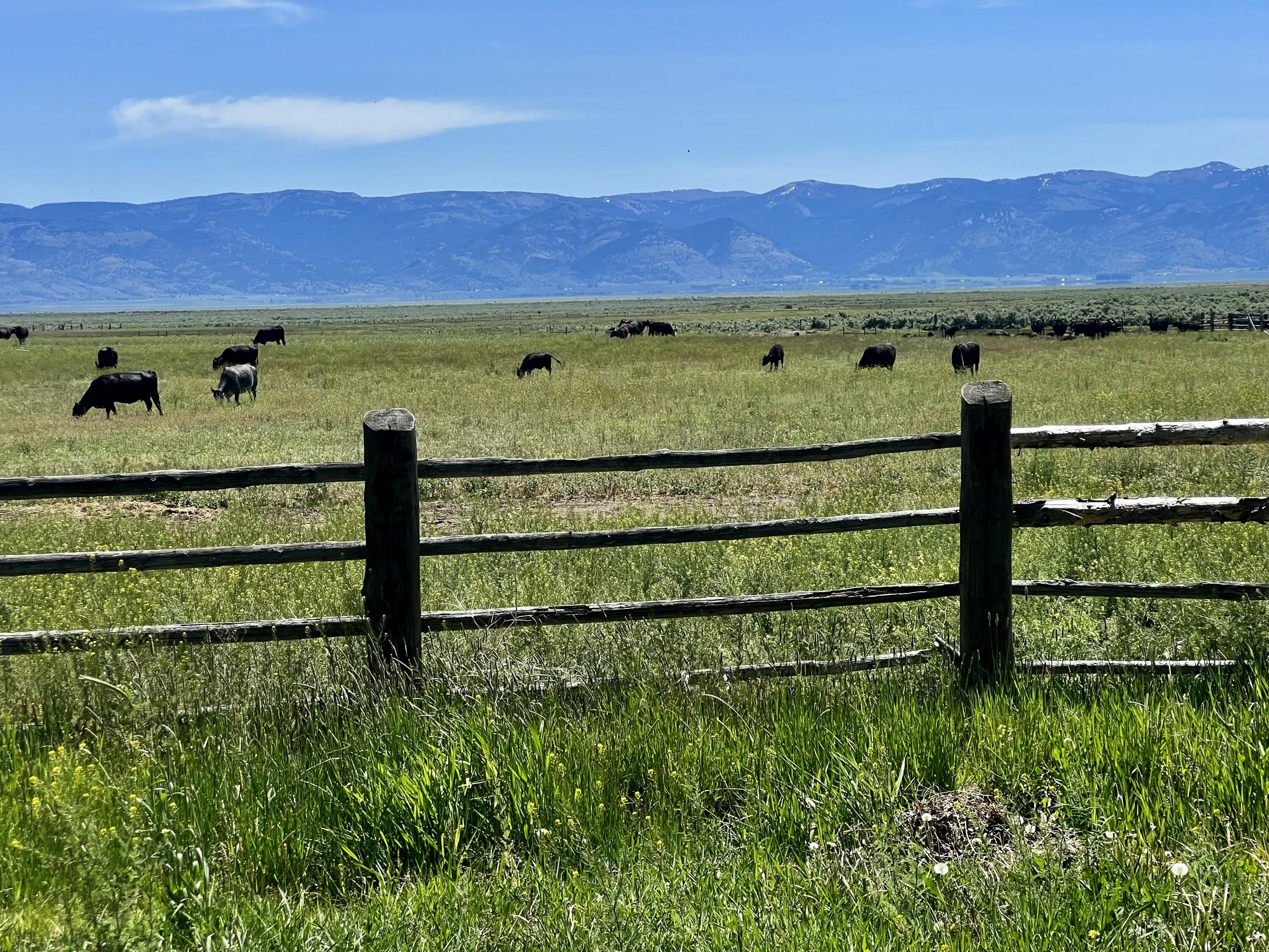 Lake County - Farm