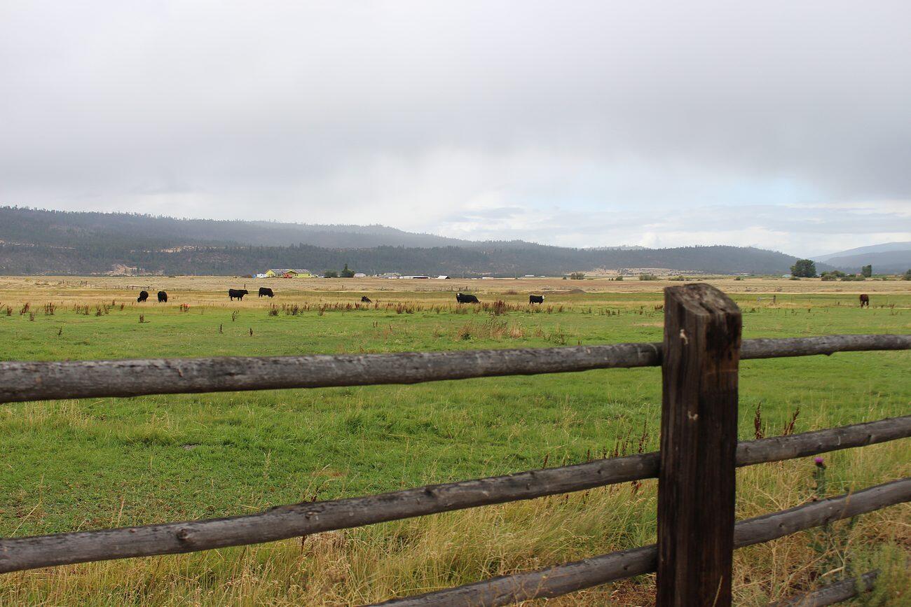 Lake County - Farm
